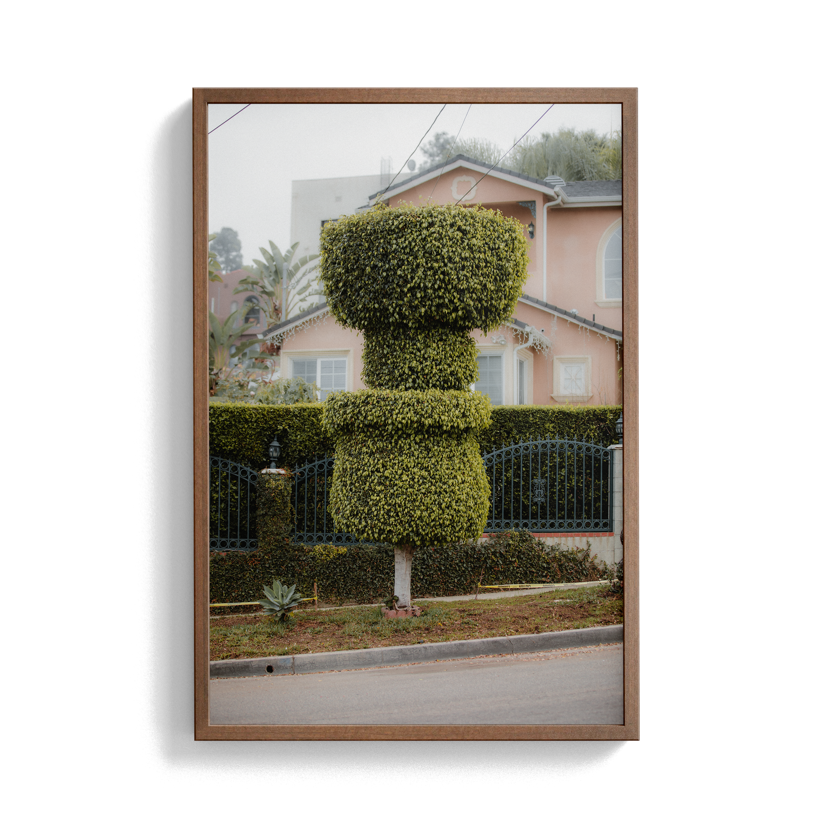 Double Sunday (02) photographic print