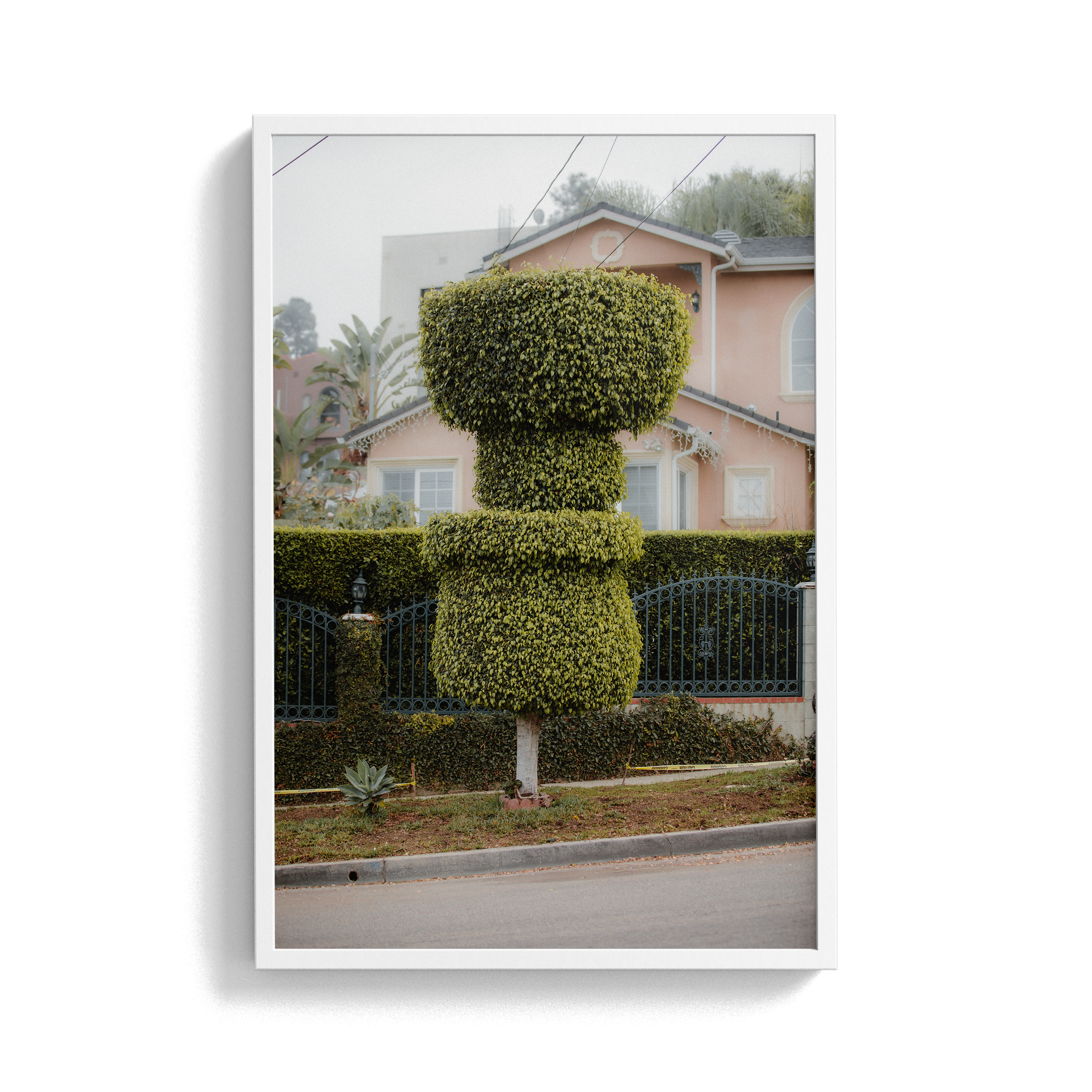 Double Sunday (02) photographic print