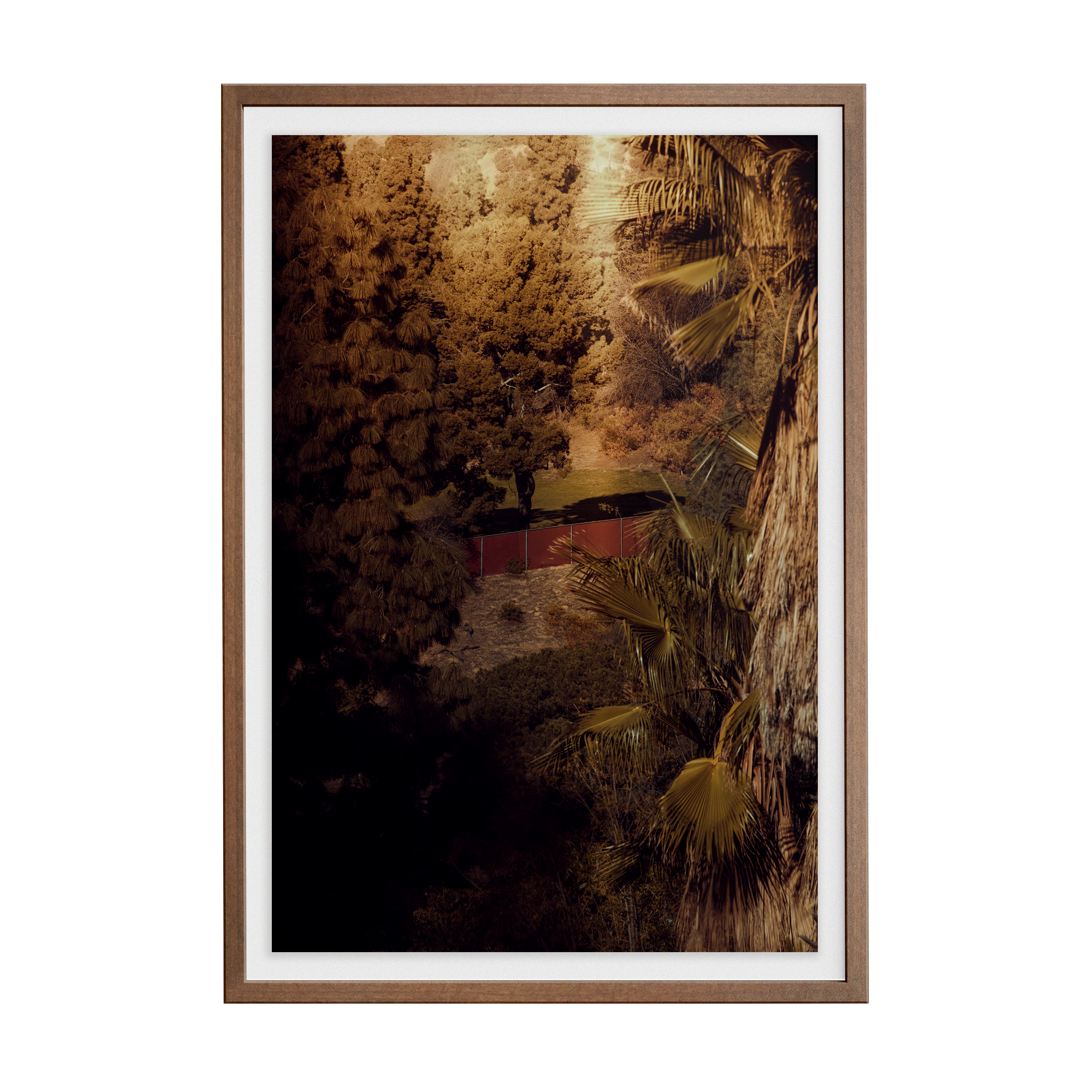 Double Sunday (03) photographic print