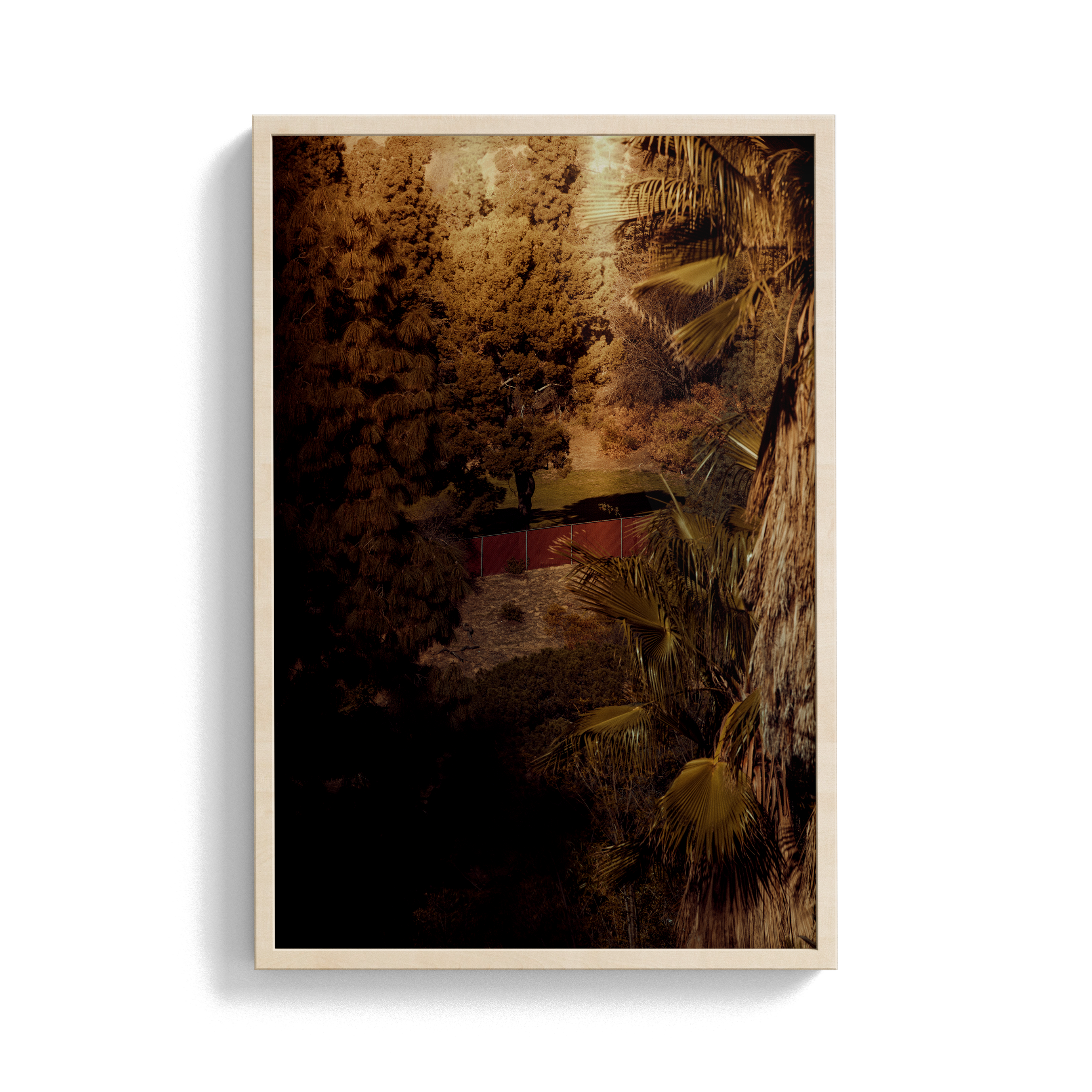 Double Sunday (03) photographic print