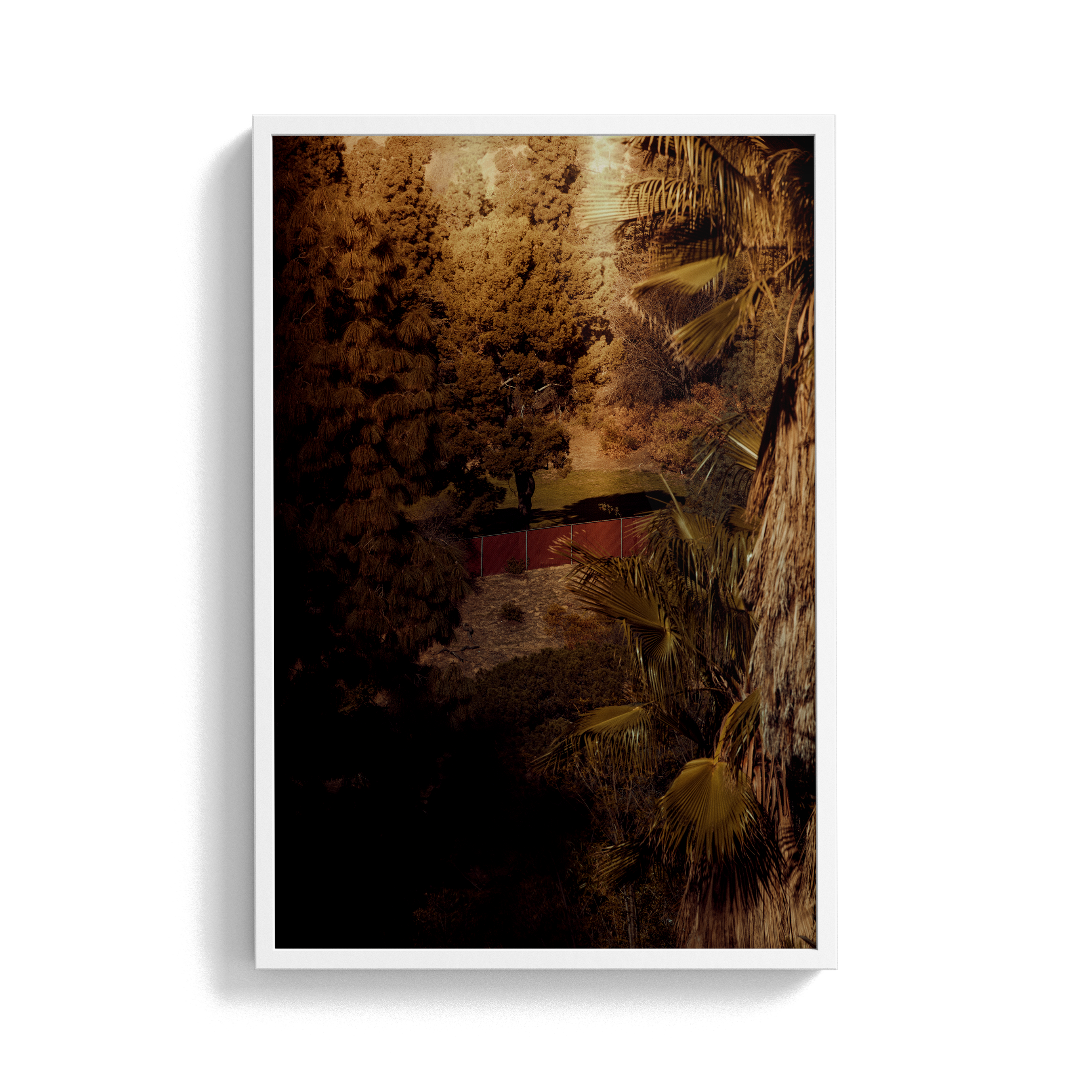 Double Sunday (03) photographic print
