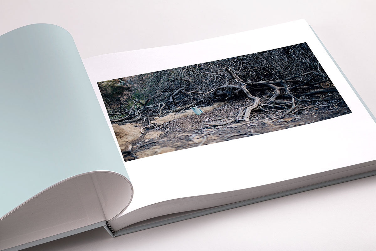 The Echo Forest, California (signed copy)