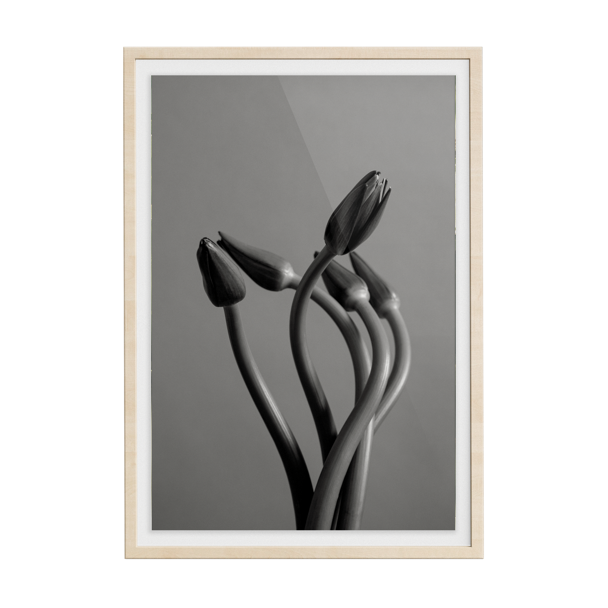 Echo Wave (No.1) photographic print