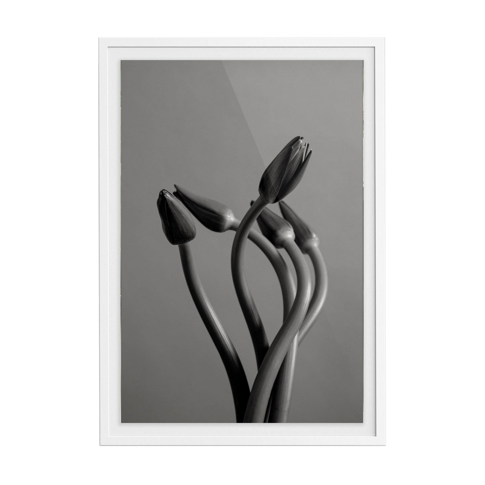 Echo Wave (No.1) photographic print