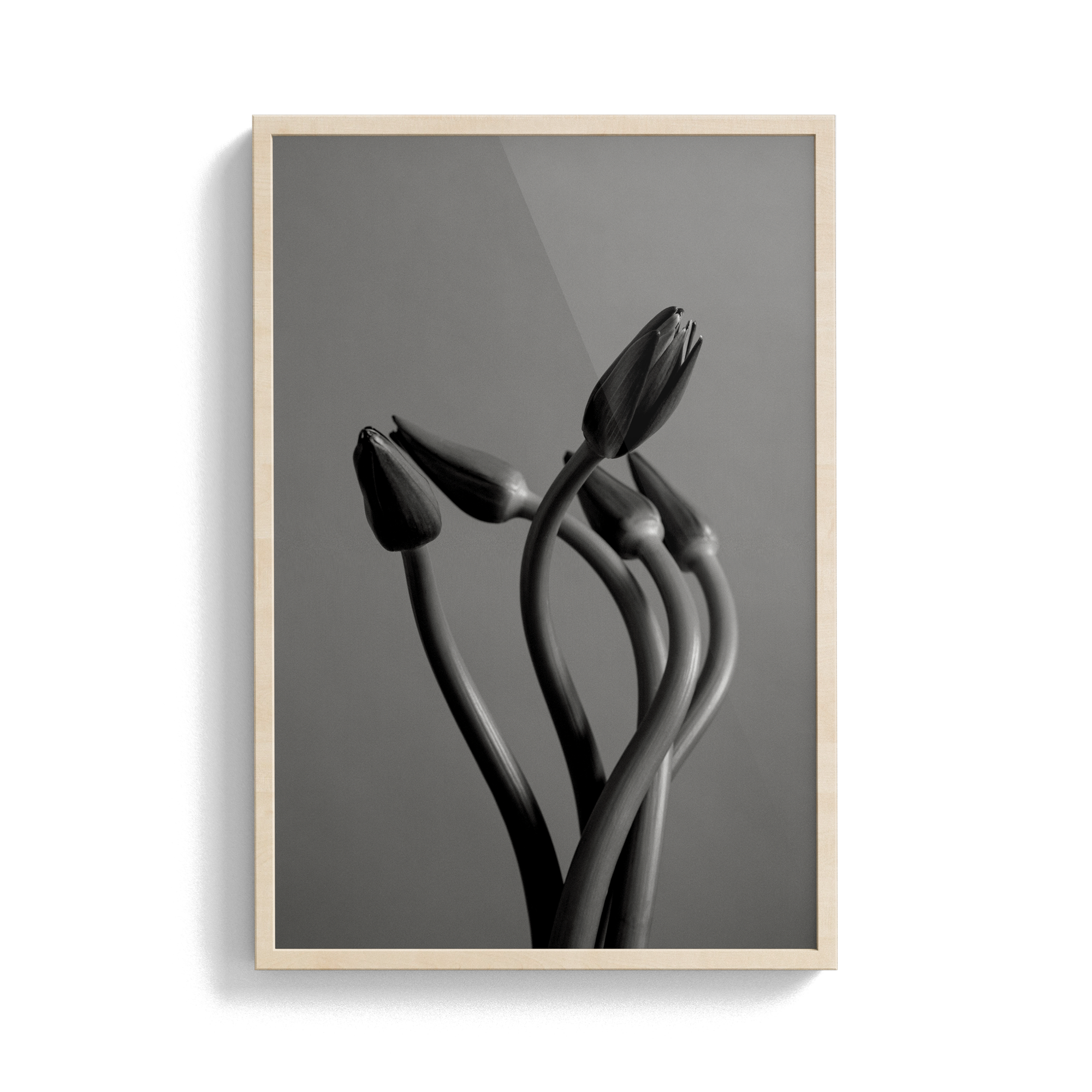 Echo Wave (No.1) photographic print