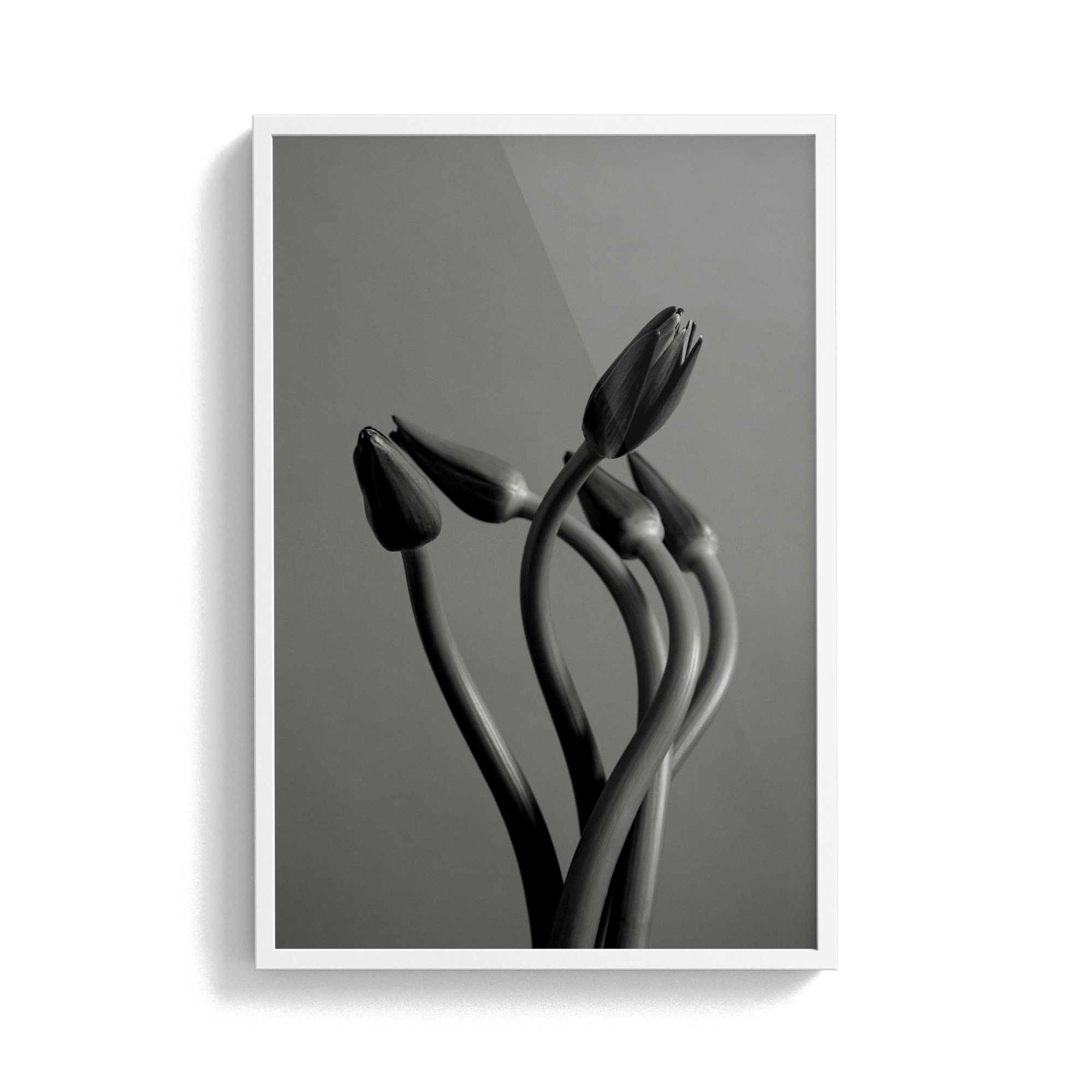 Echo Wave (No.1) photographic print