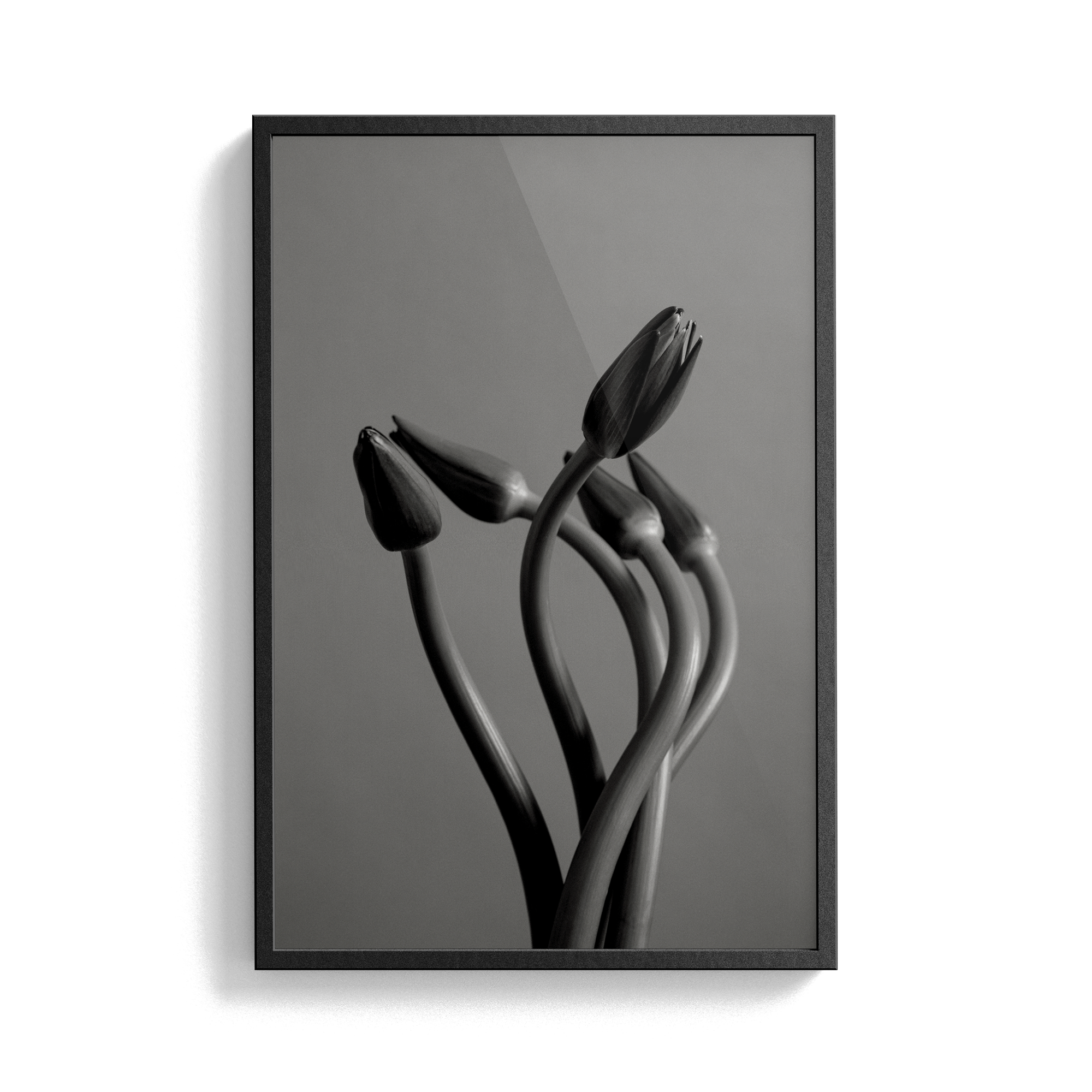 Echo Wave (No.1) photographic print