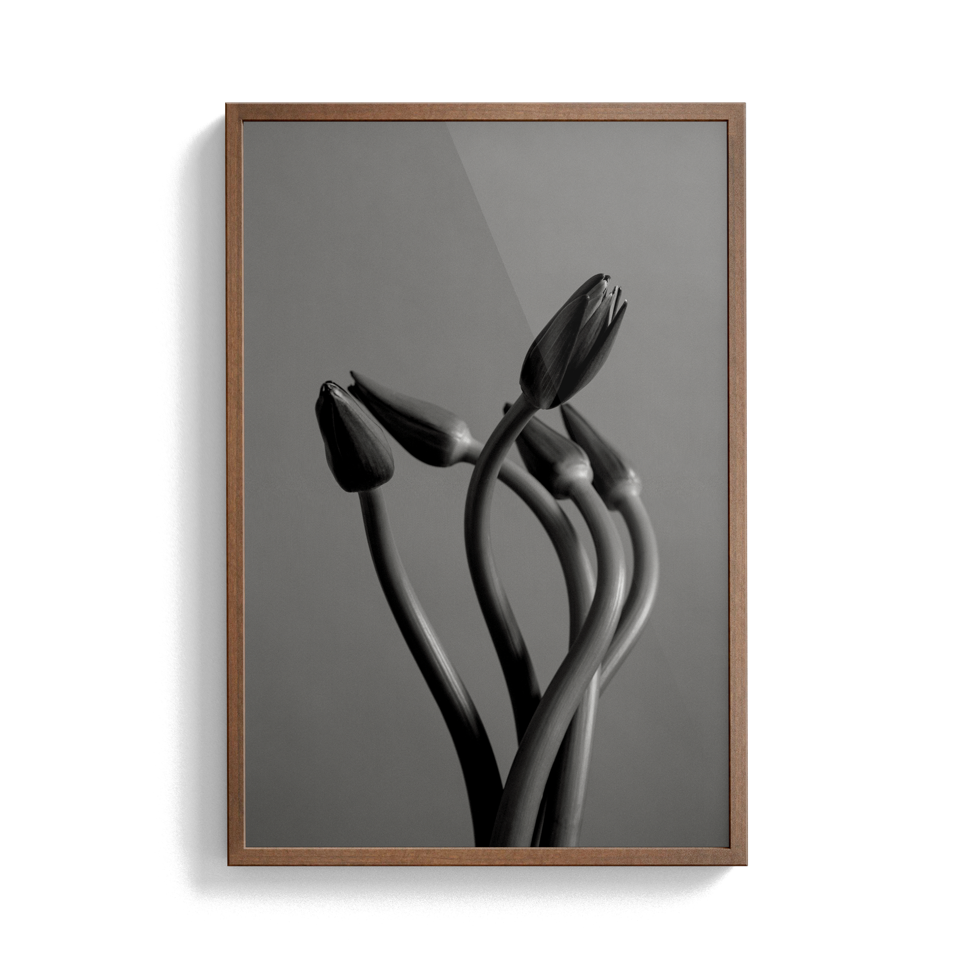 Echo Wave (No.1) photographic print