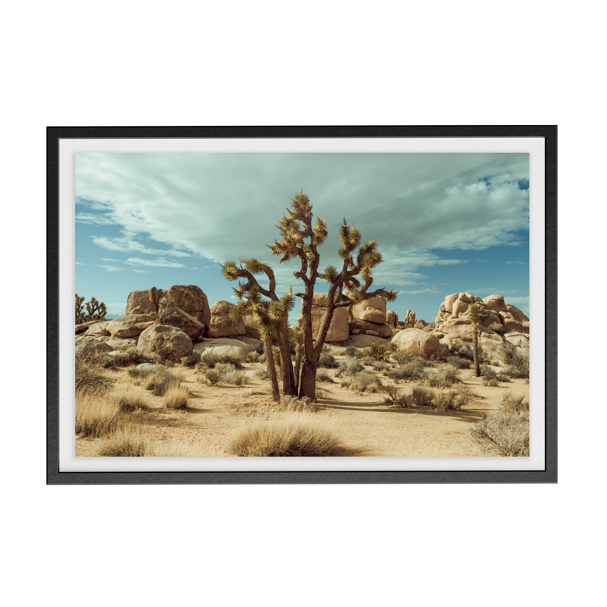 Falken Flats (01, Joshua Tree) photographic print