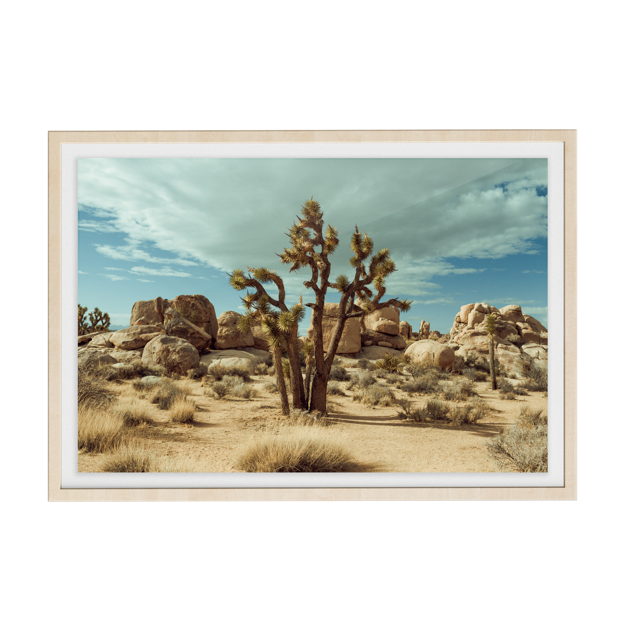 Falken Flats (01, Joshua Tree) photographic print