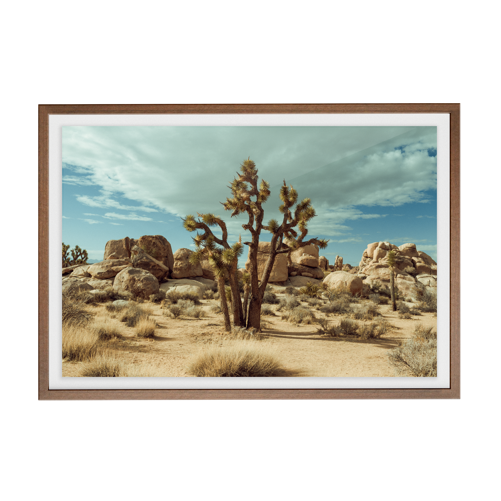 Falken Flats (01, Joshua Tree) photographic print