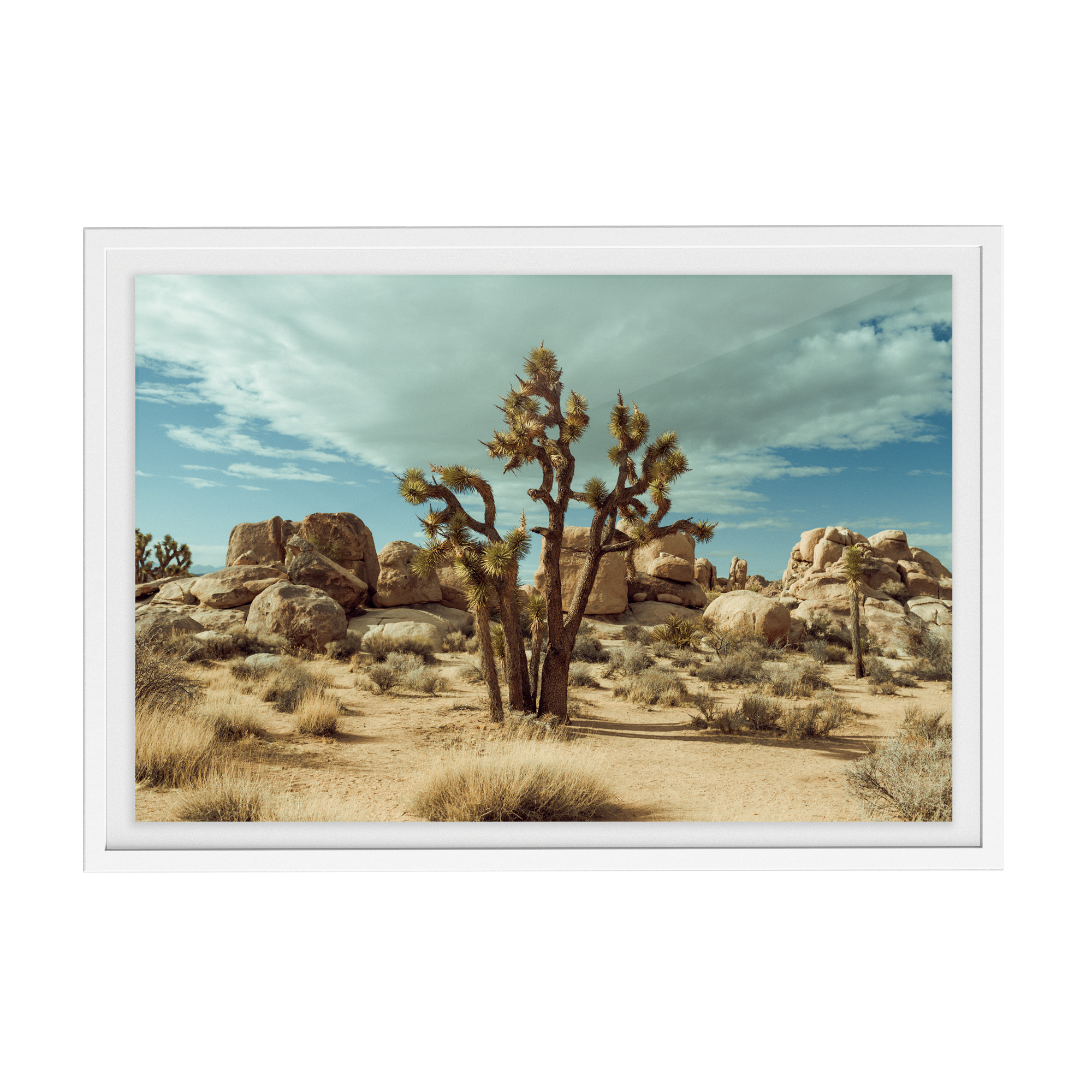 Falken Flats (01, Joshua Tree) photographic print