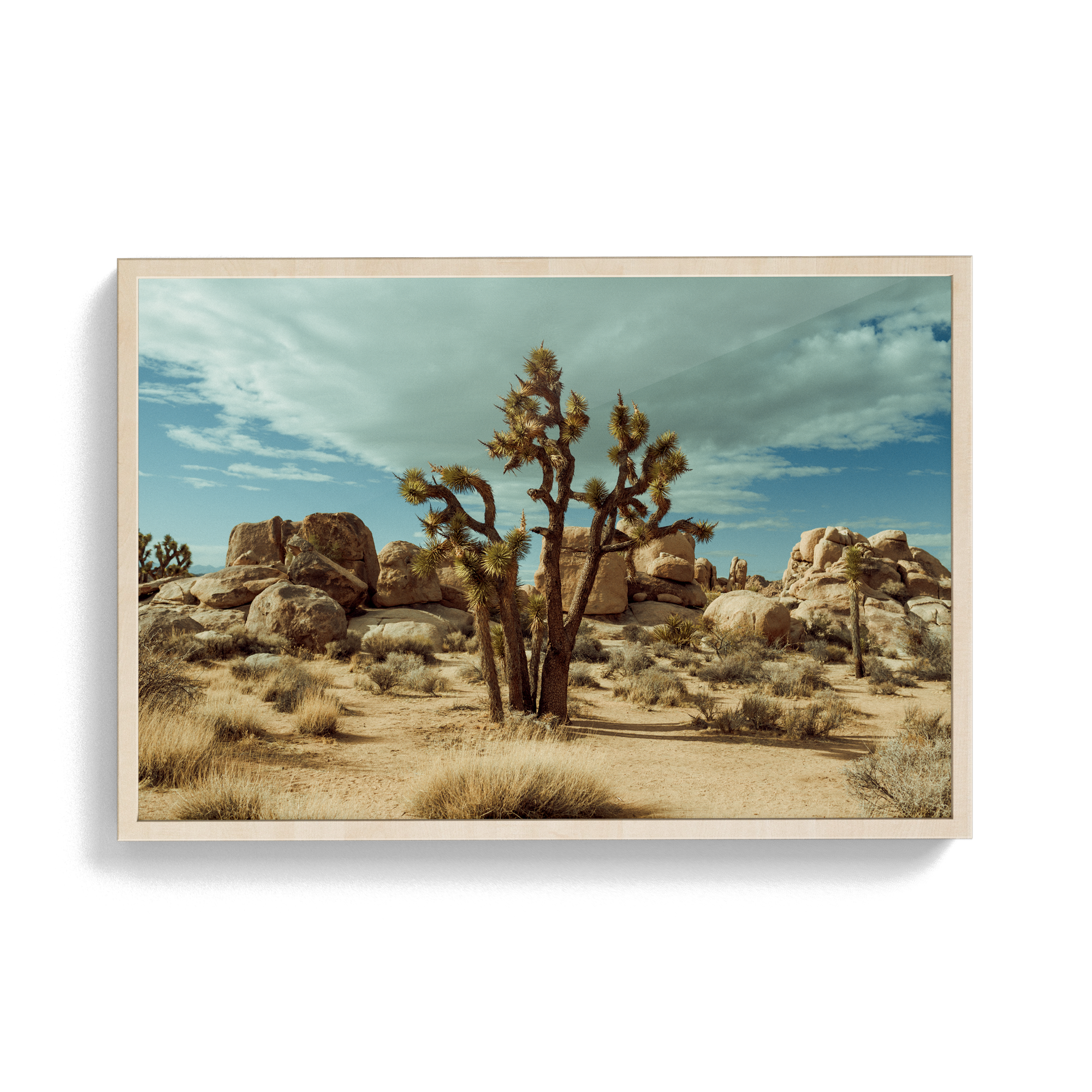 Falken Flats (01, Joshua Tree) photographic print