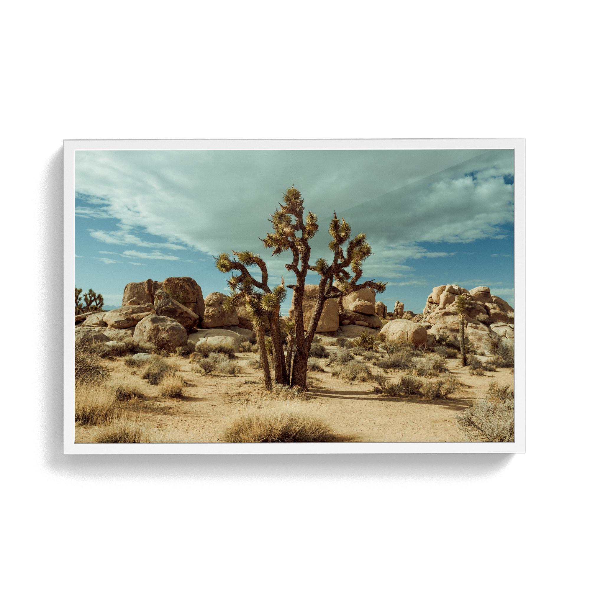 Falken Flats (01, Joshua Tree) photographic print