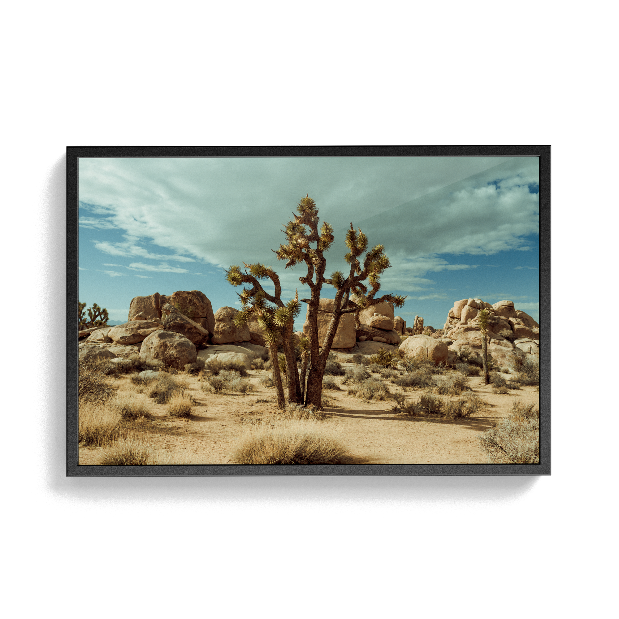 Falken Flats (01, Joshua Tree) photographic print