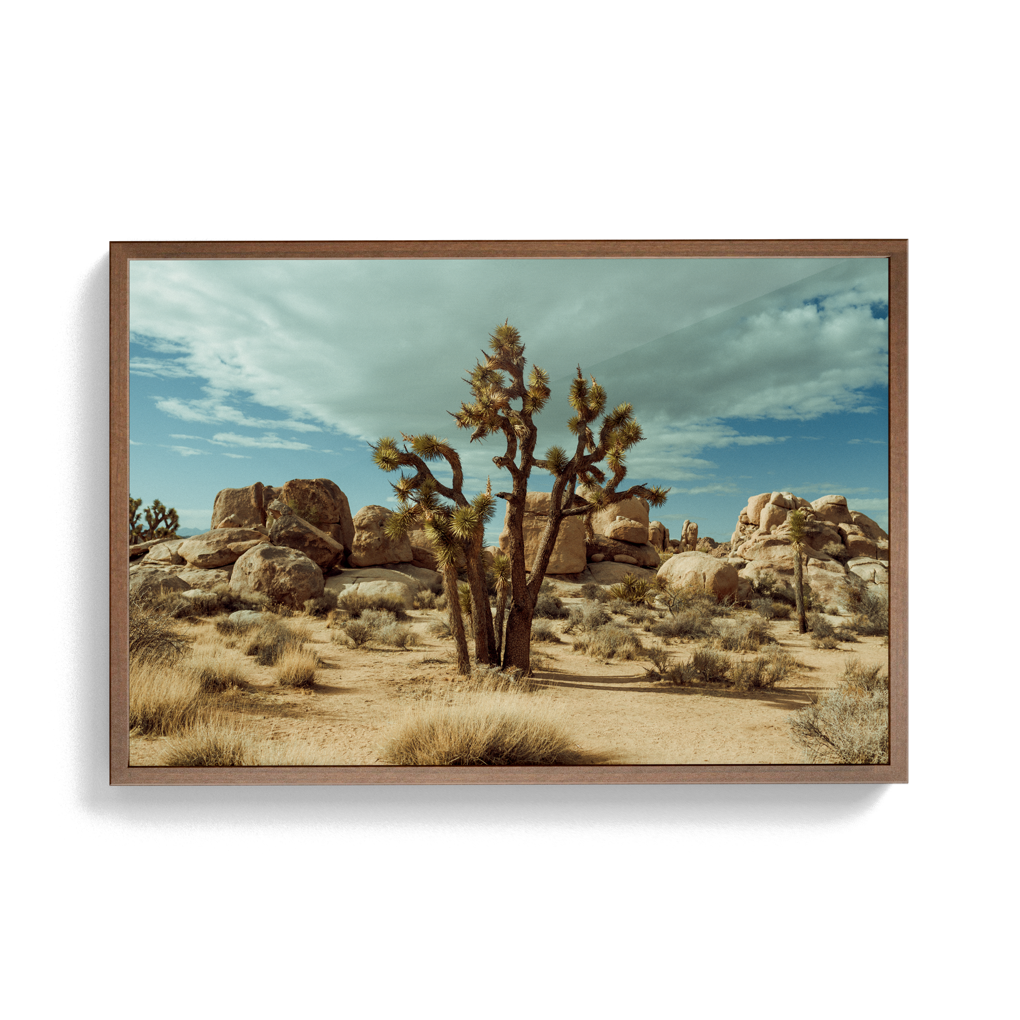 Falken Flats (01, Joshua Tree) photographic print
