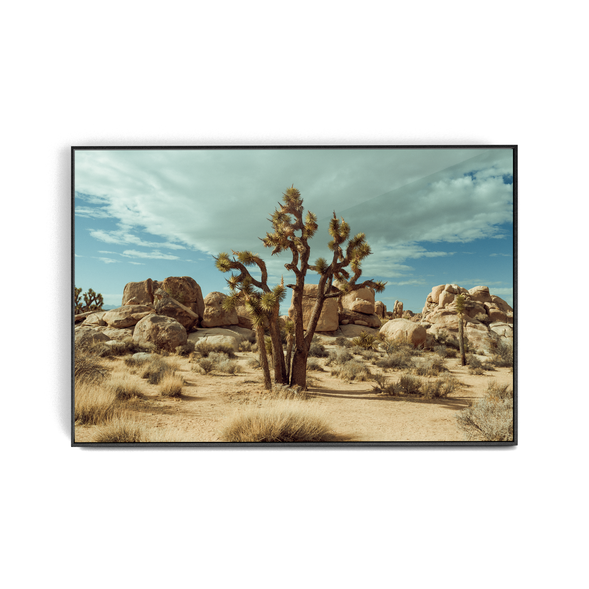 Falken Flats (01, Joshua Tree) photographic print