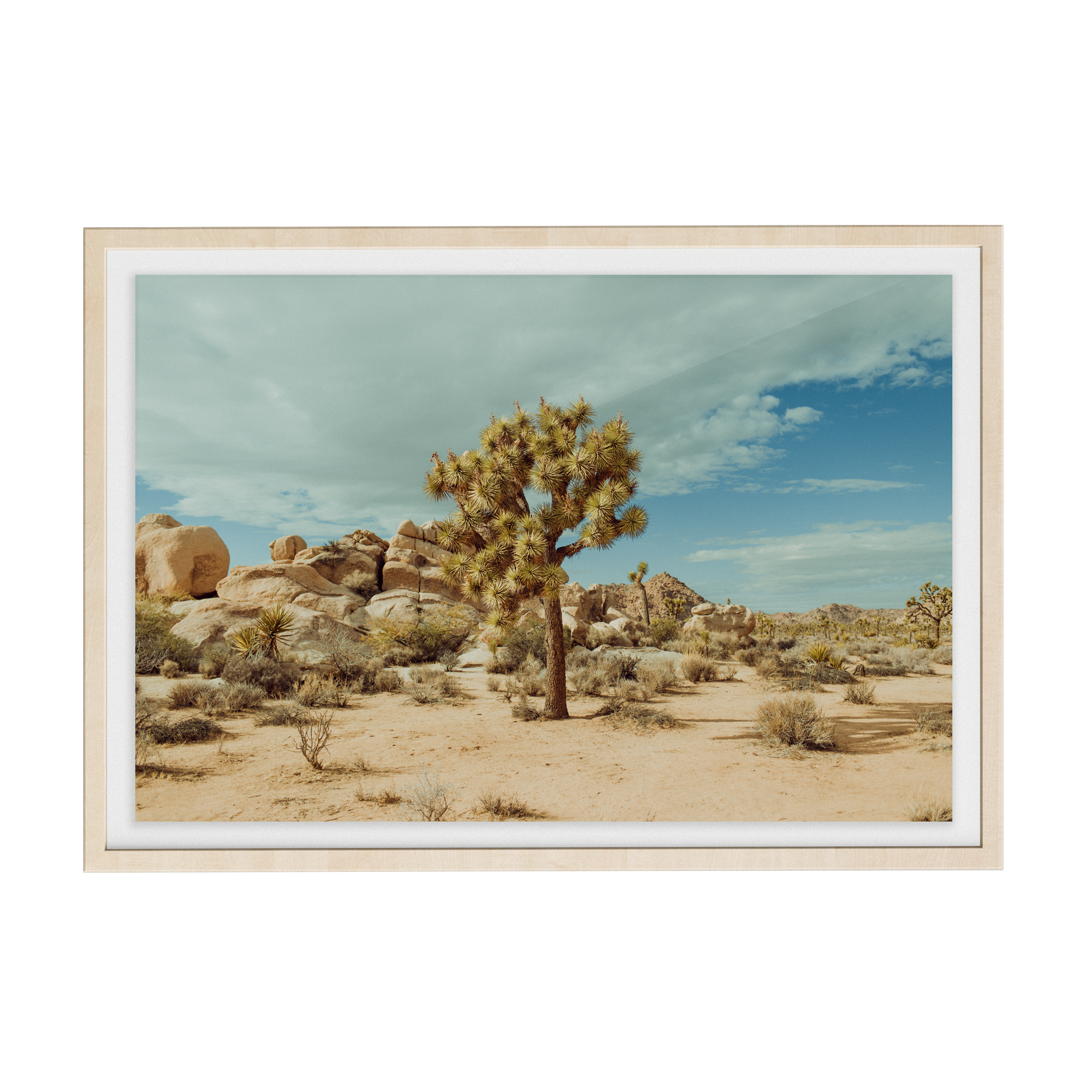 Falken Flats (02, Joshua Tree) photographic print