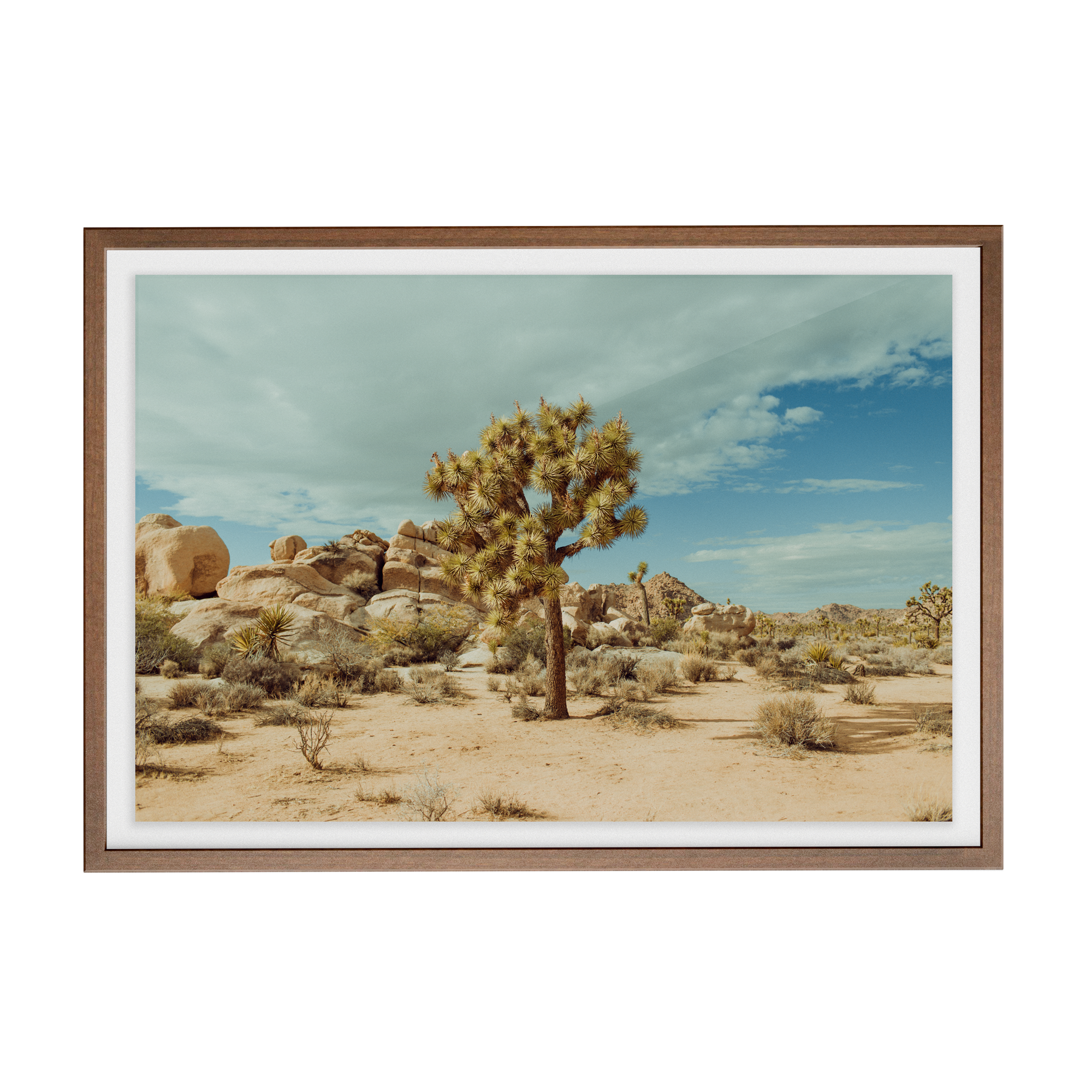 Falken Flats (02, Joshua Tree) photographic print