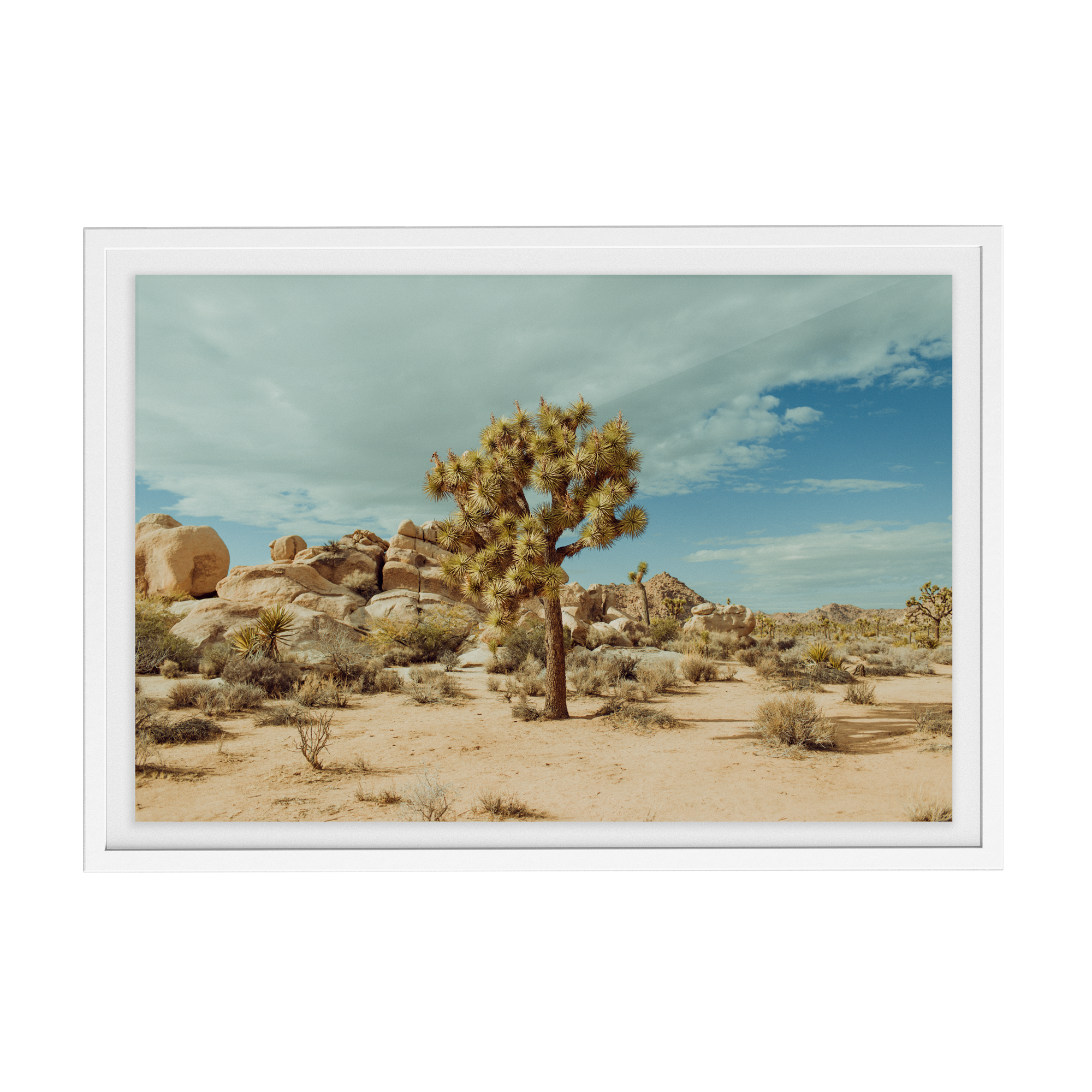 Falken Flats (02, Joshua Tree) photographic print