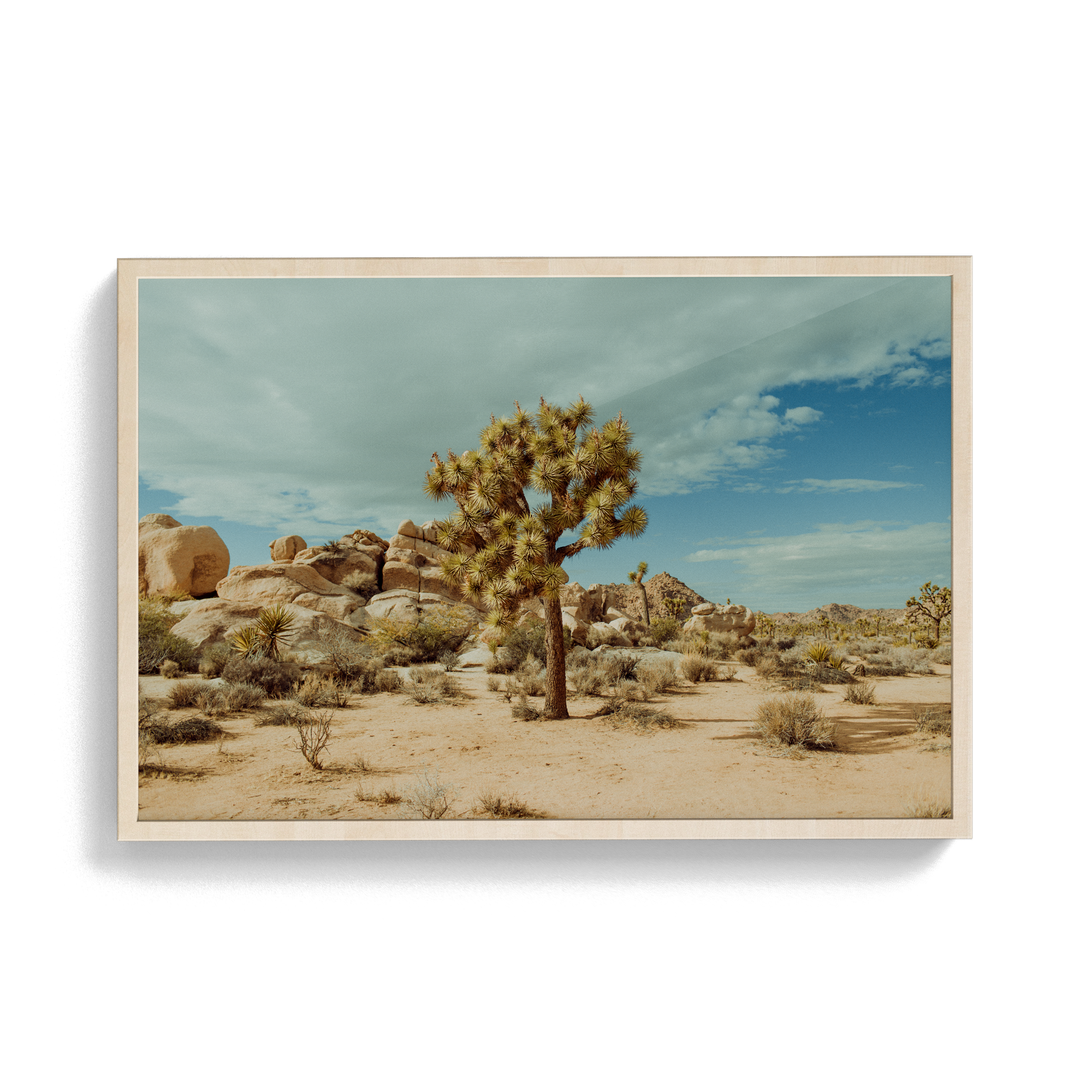 Falken Flats (02, Joshua Tree) photographic print