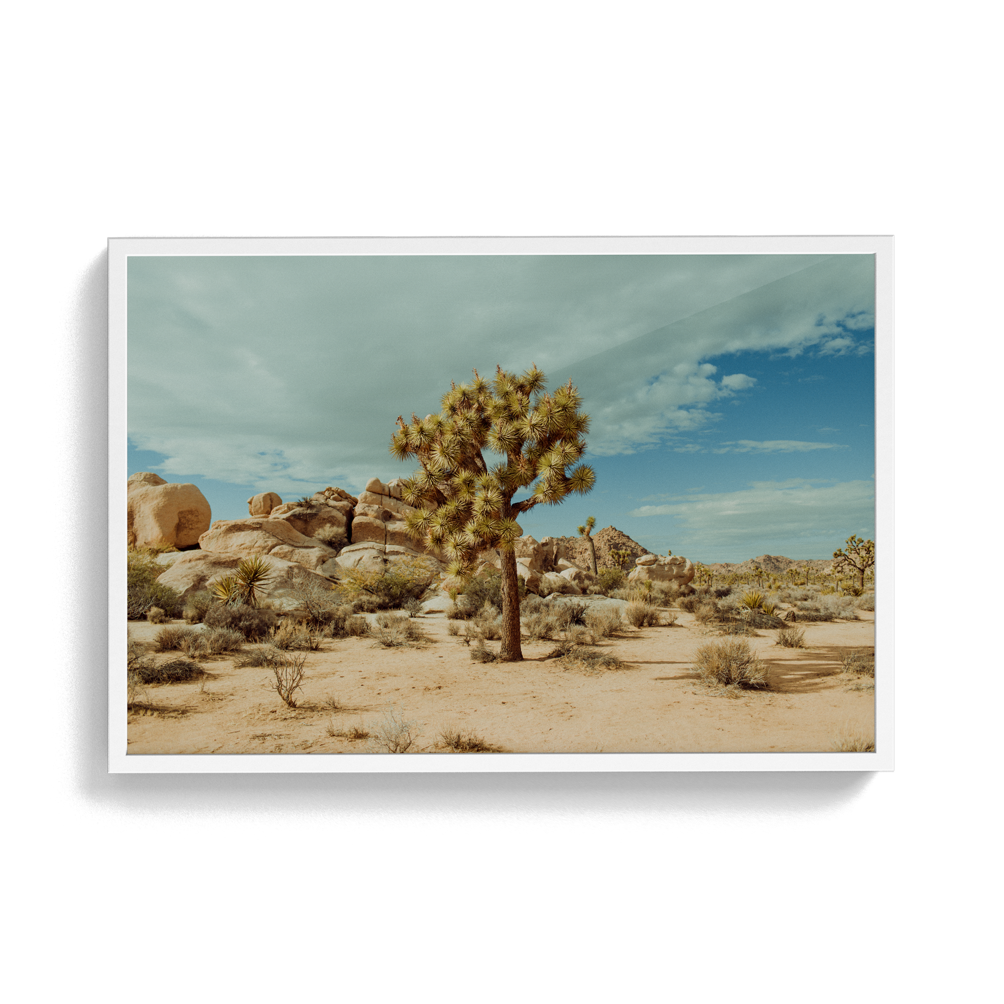 Falken Flats (02, Joshua Tree) photographic print