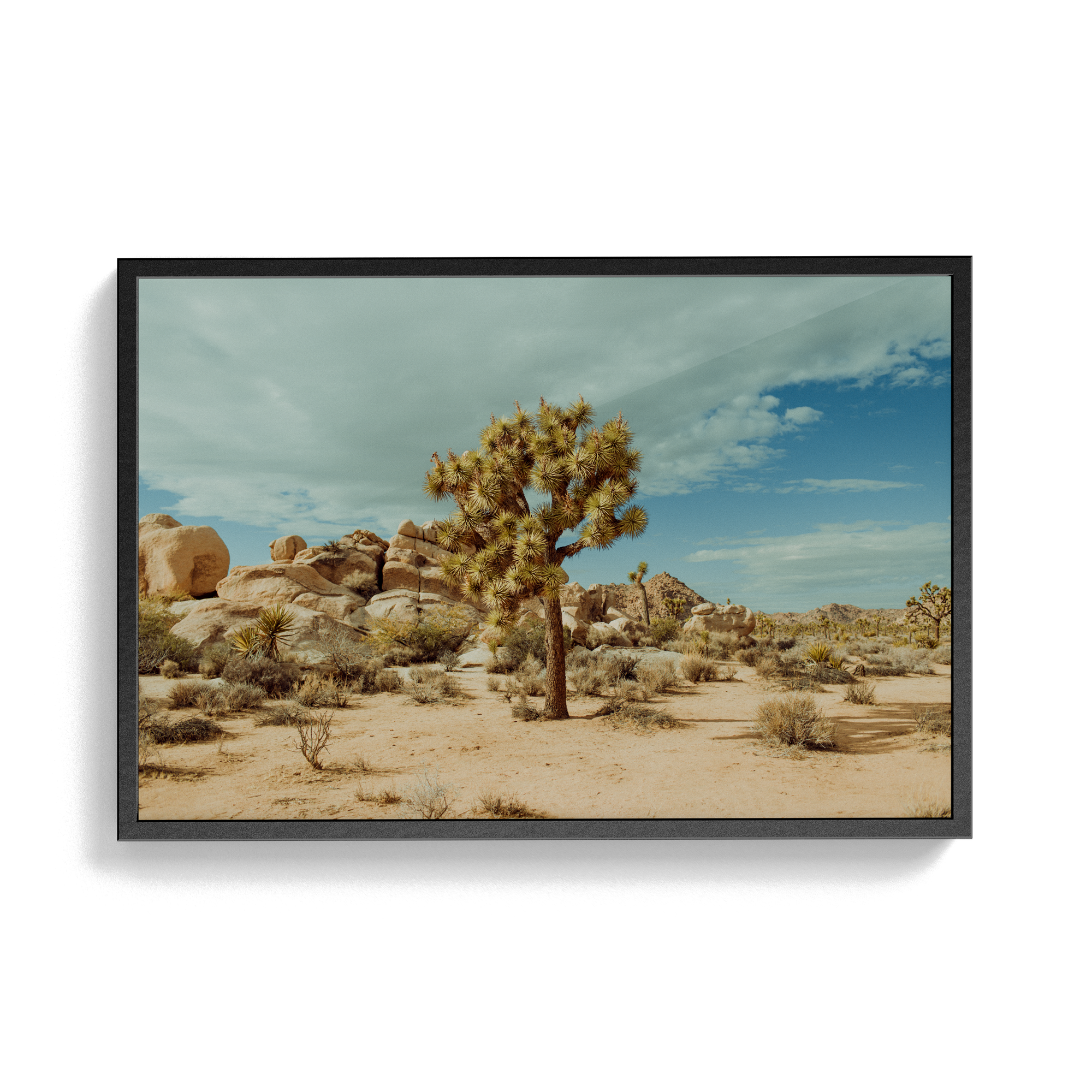 Falken Flats (02, Joshua Tree) photographic print
