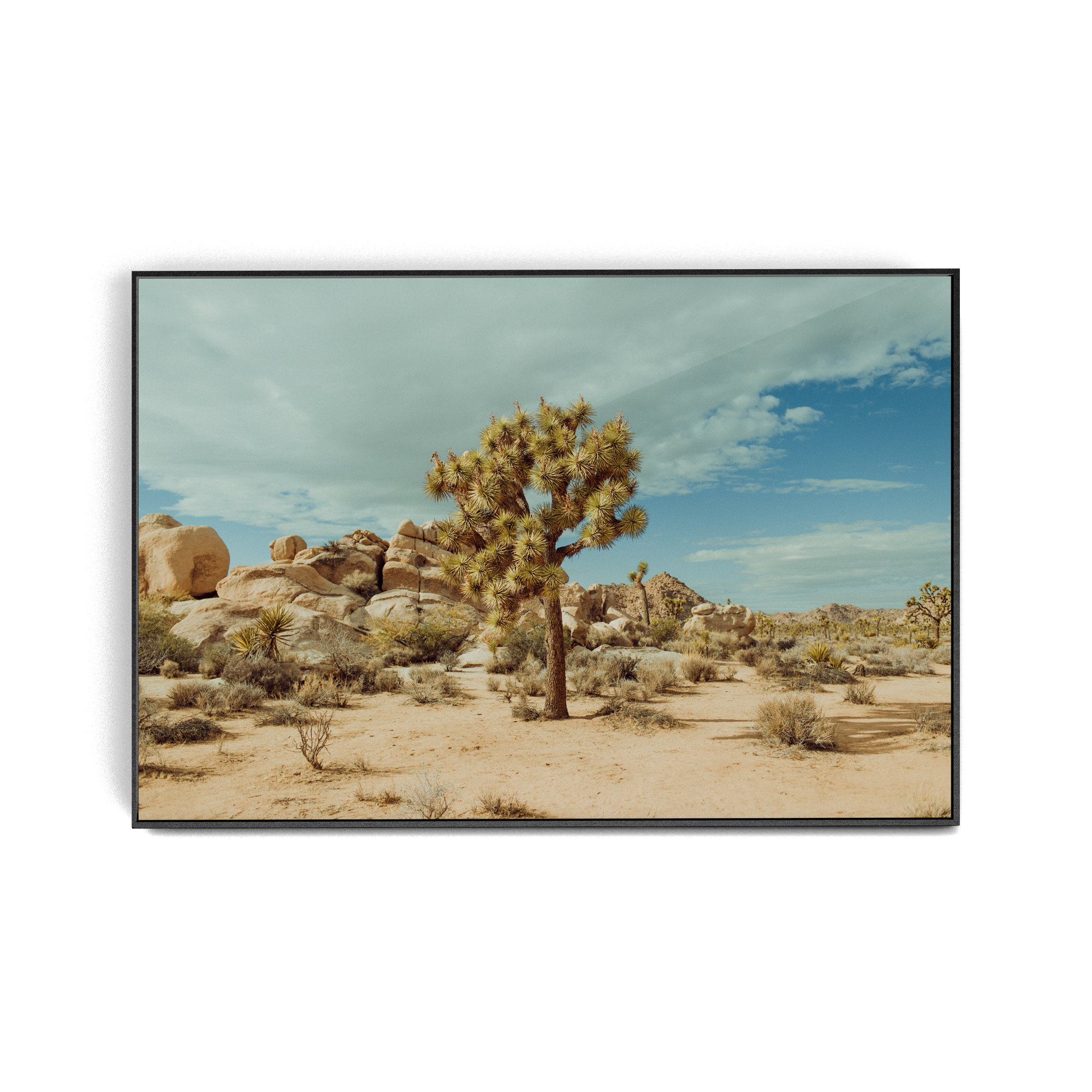 Falken Flats (02, Joshua Tree) photographic print