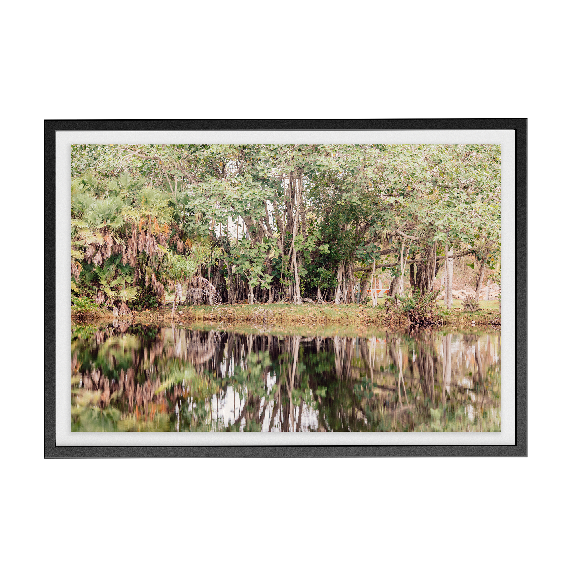 Grove House, Miami (No. 14) photographic print