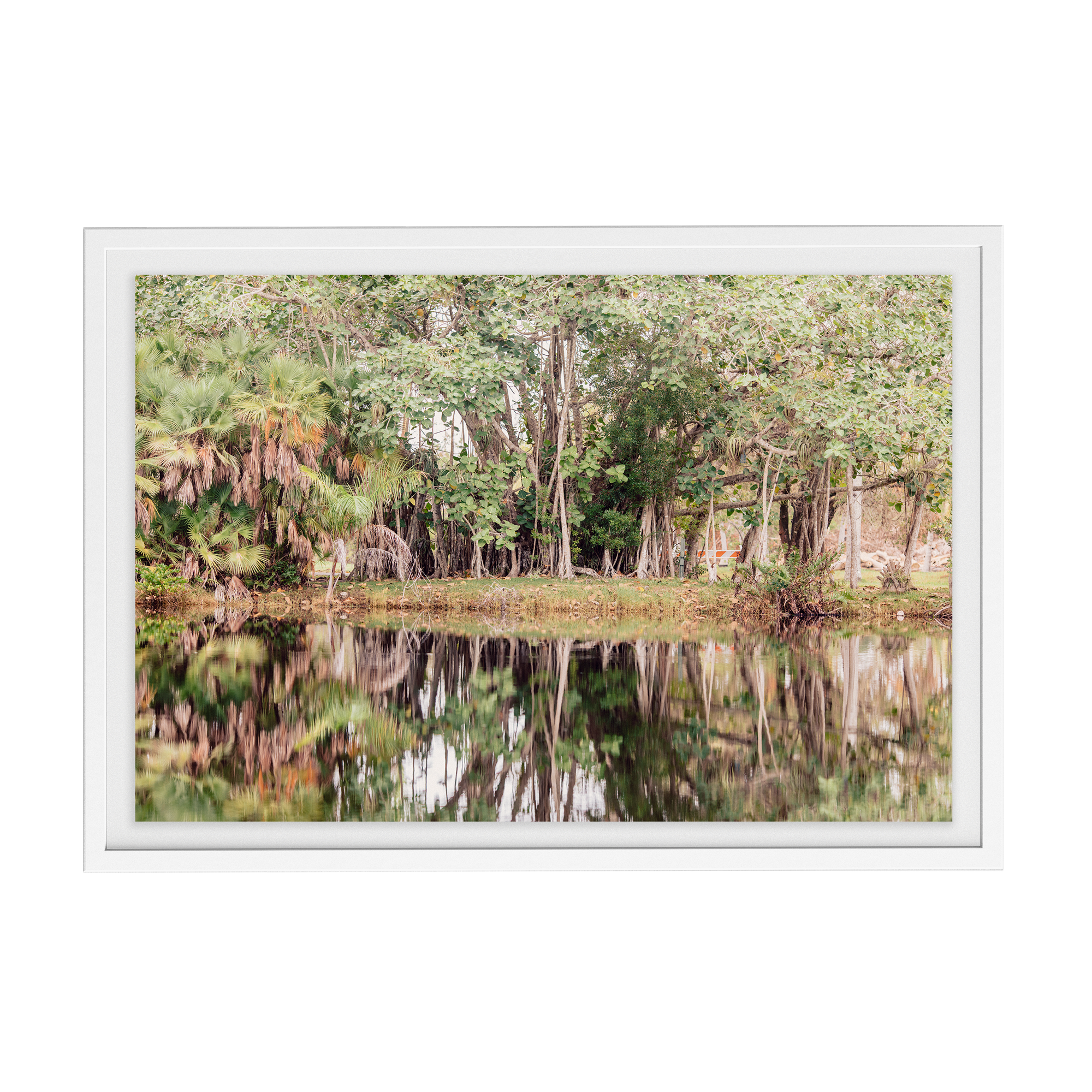 Grove House, Miami (No. 14) photographic print
