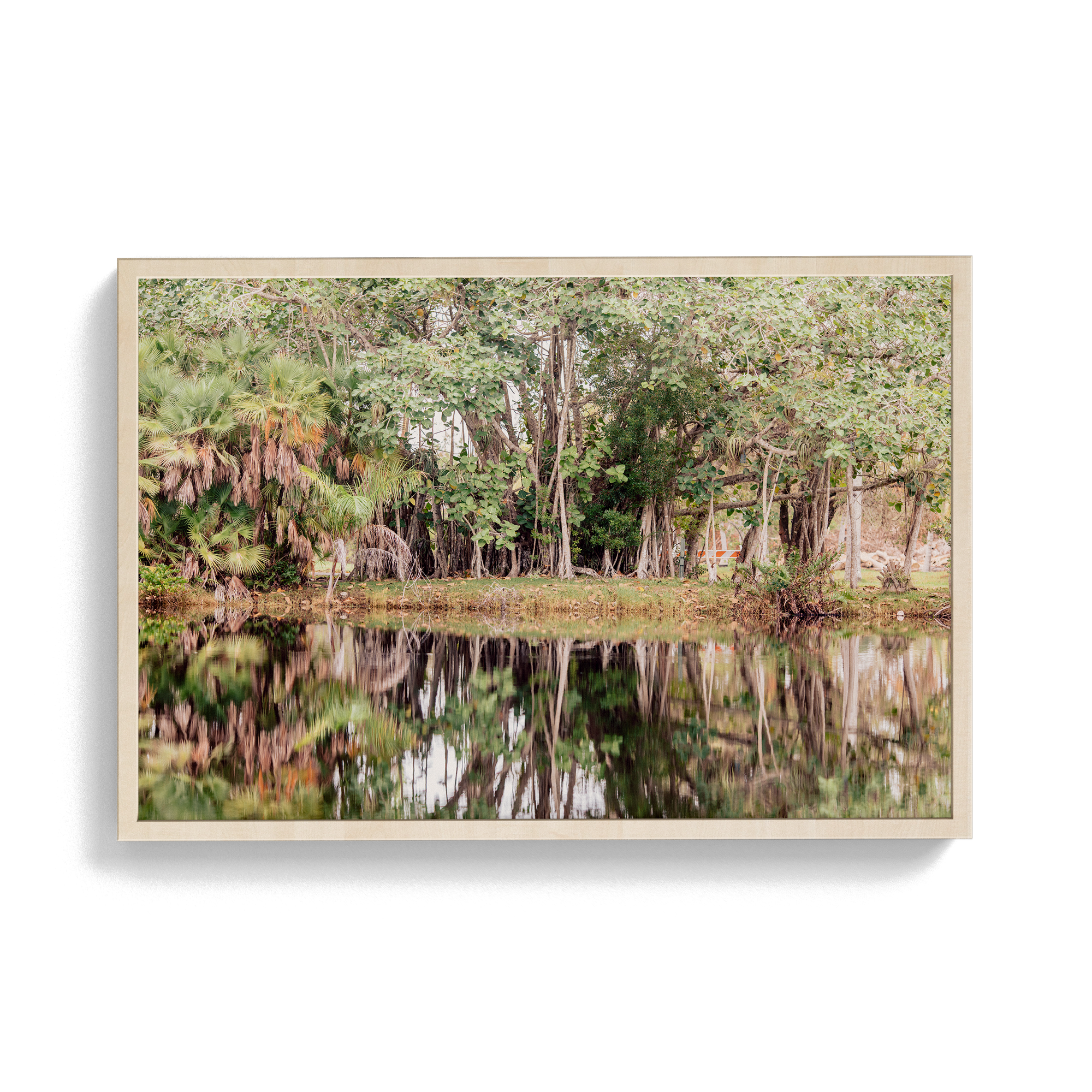 Grove House, Miami (No. 14) photographic print