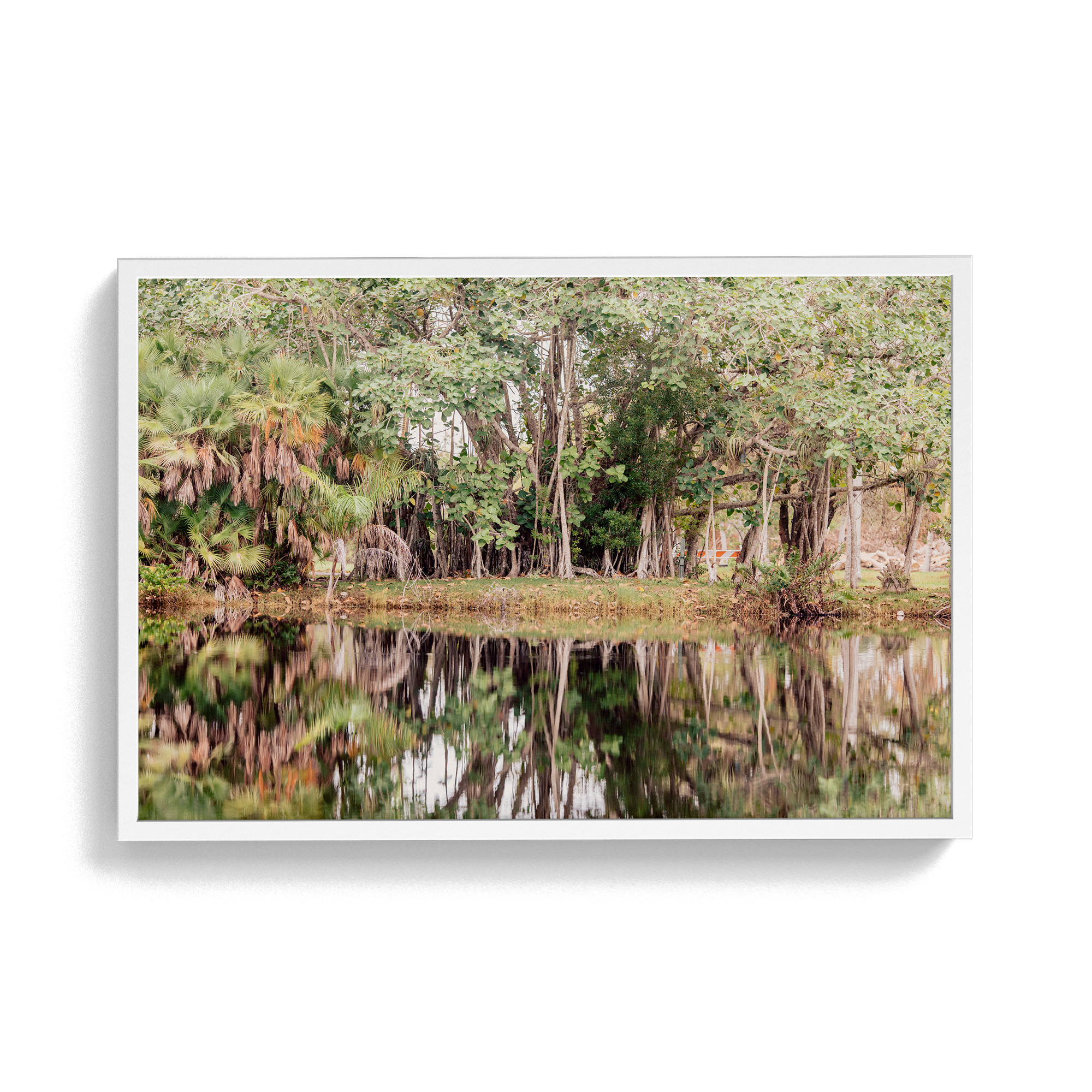 Grove House, Miami (No. 14) photographic print