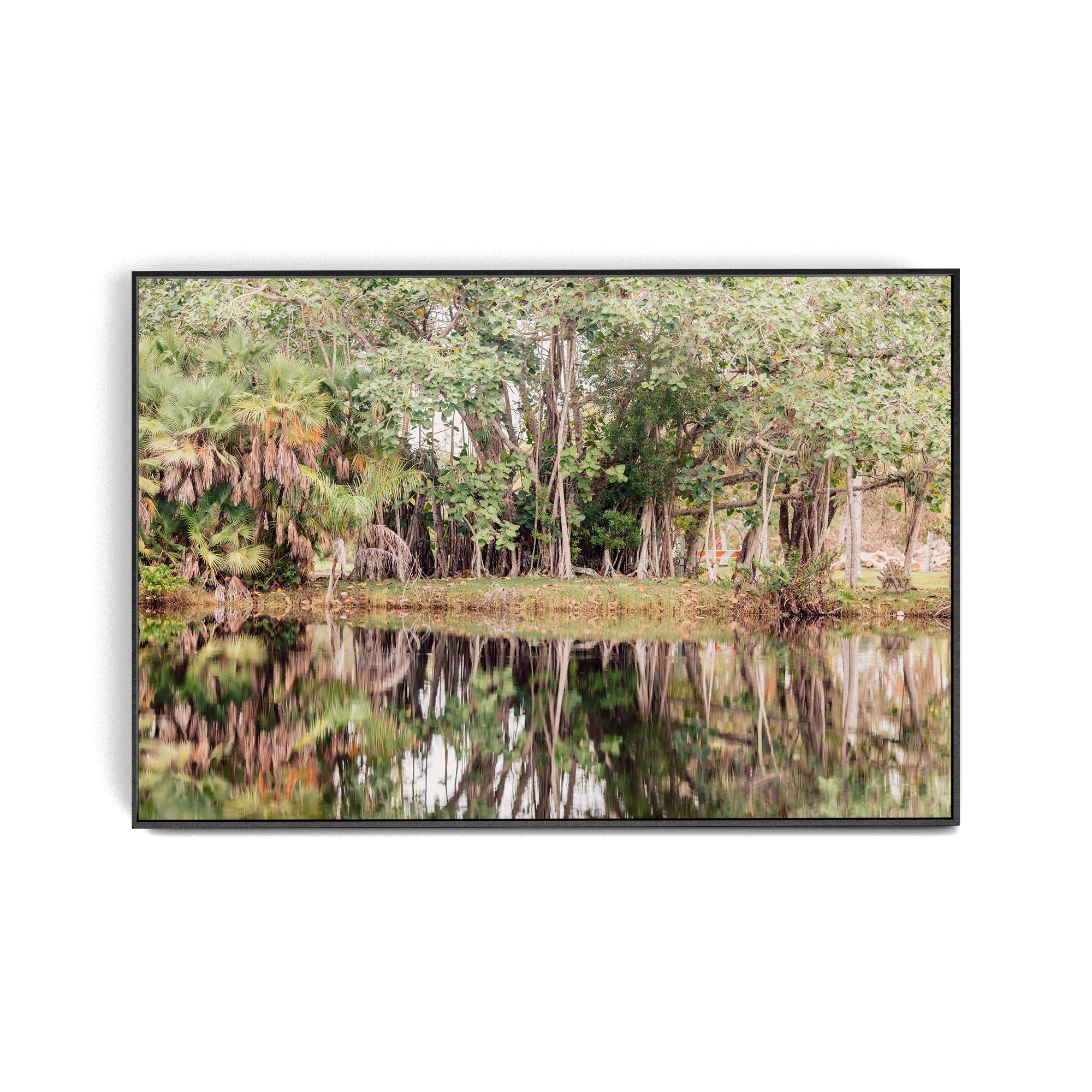 Grove House, Miami (No. 14) photographic print