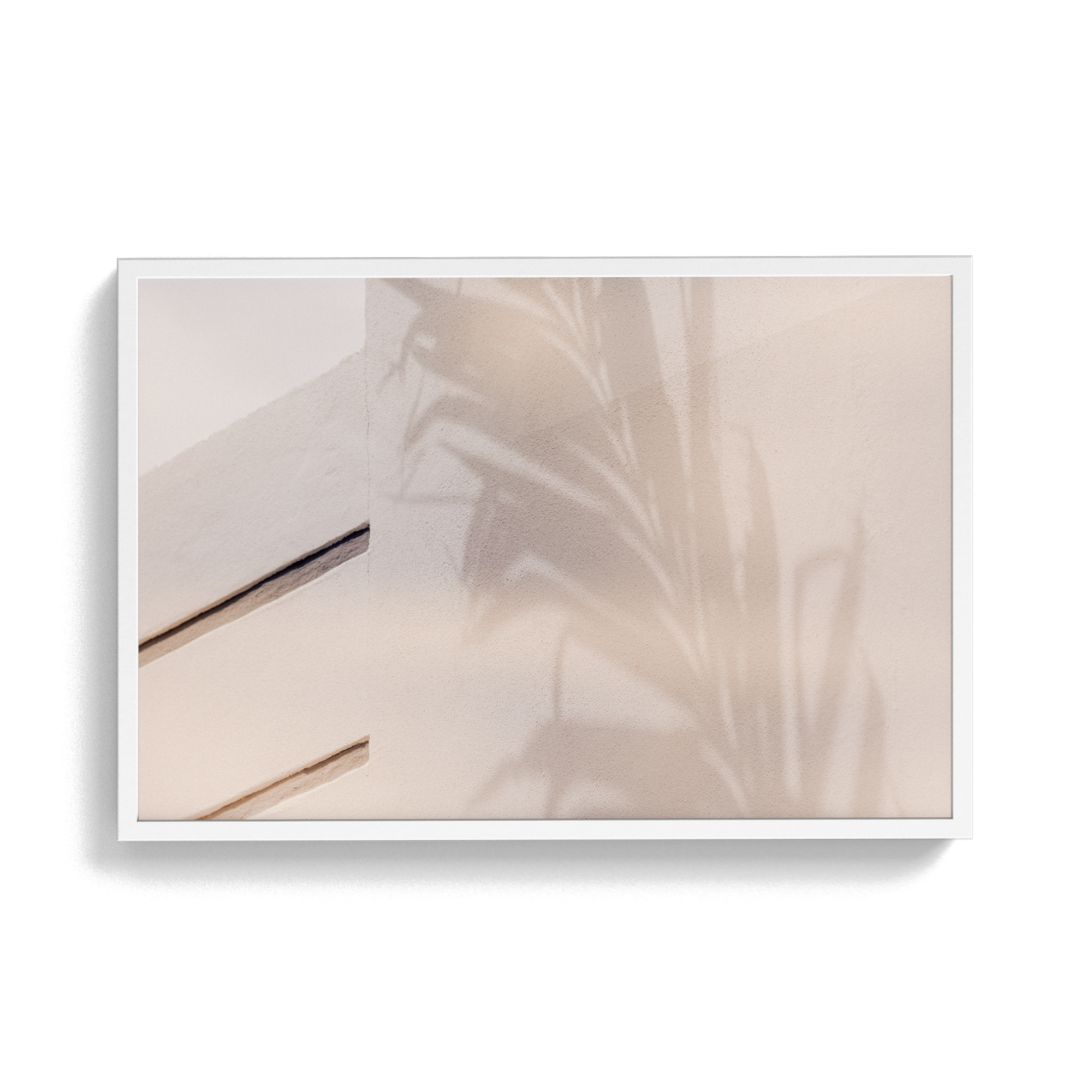 Grove House, Miami (No. 15) photographic print