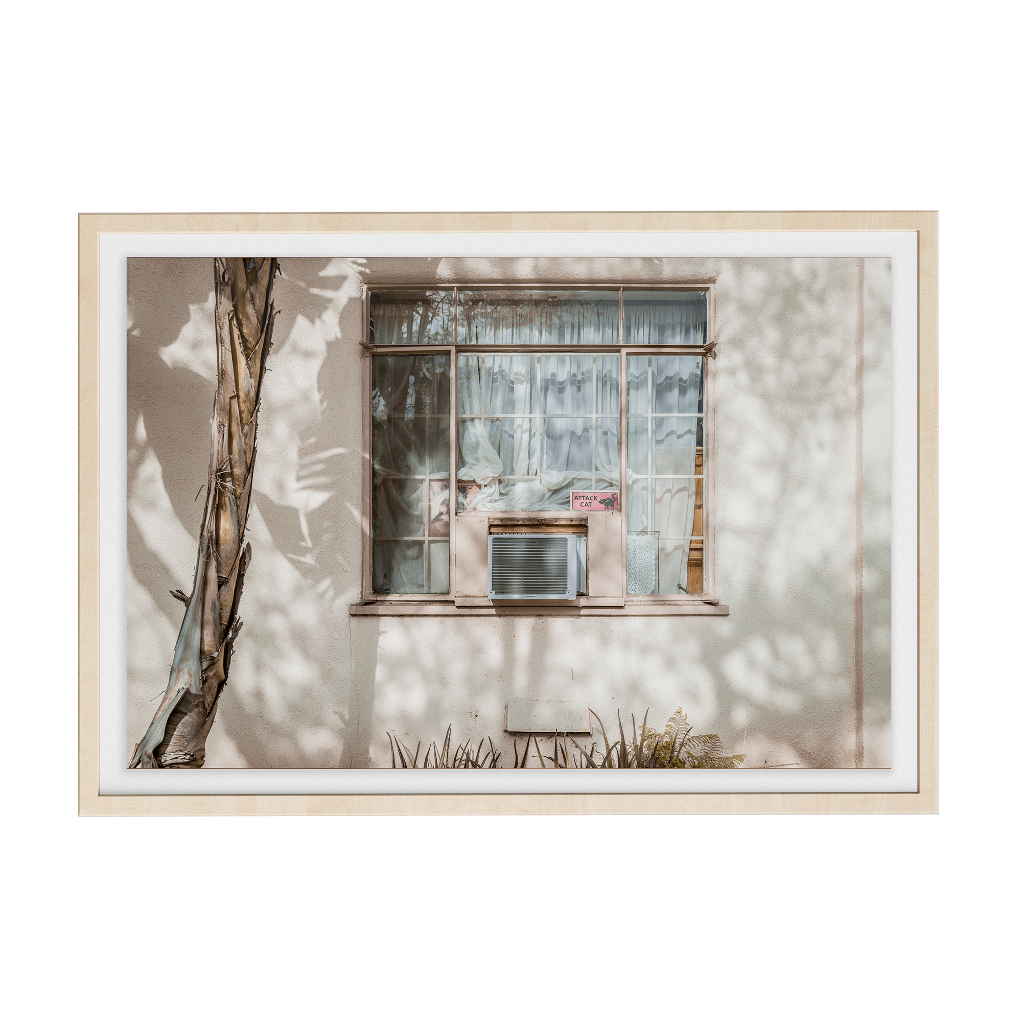 Hang in There (Isolation) photographic print