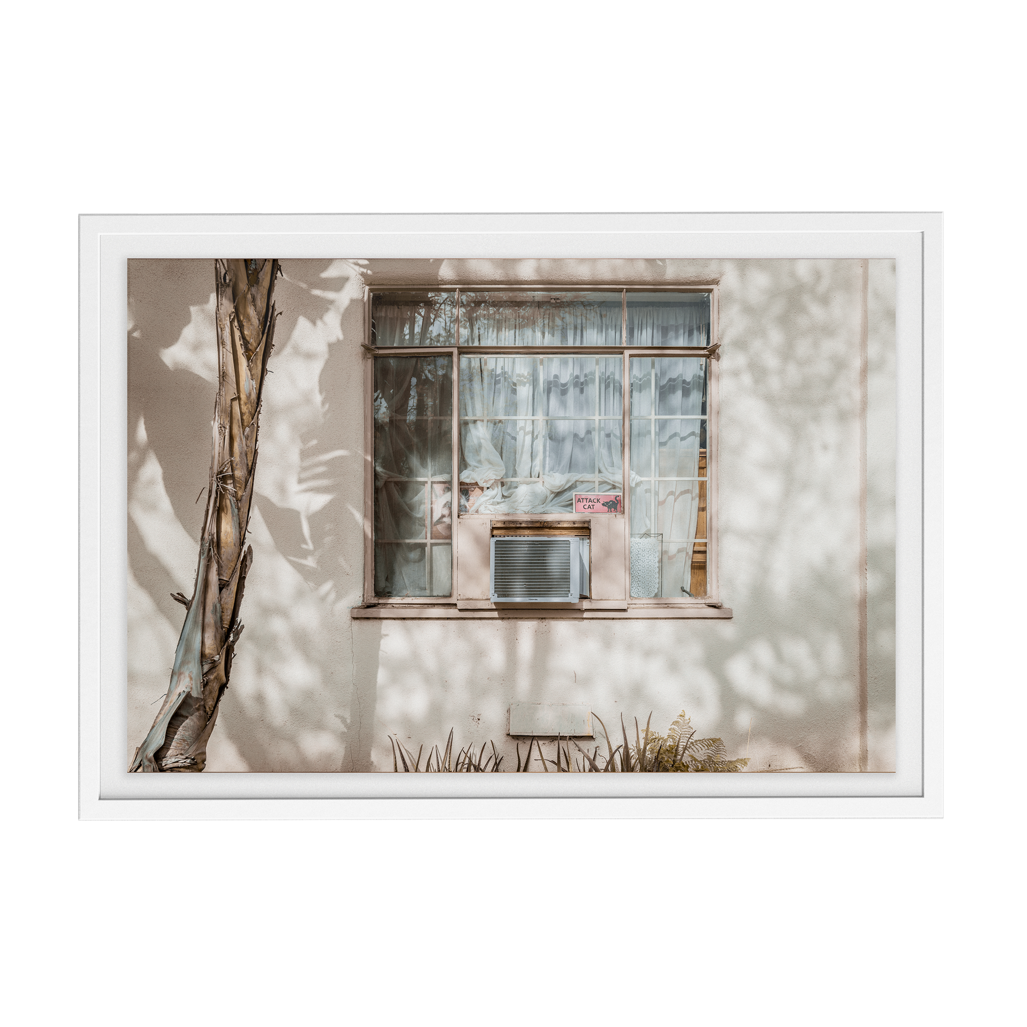 Hang in There (Isolation) photographic print
