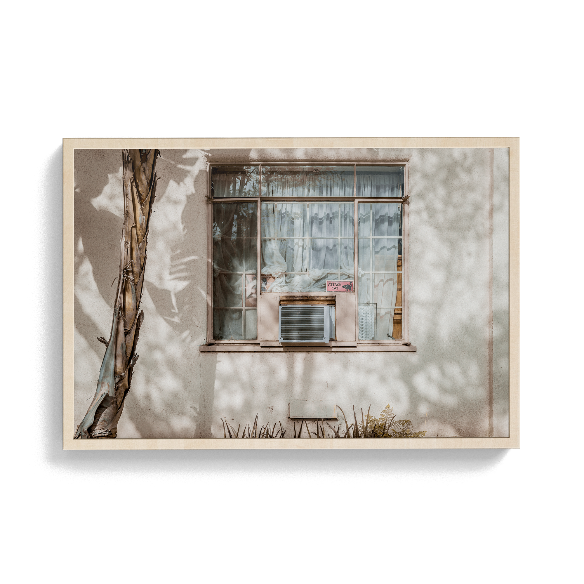 Hang in There (Isolation) photographic print