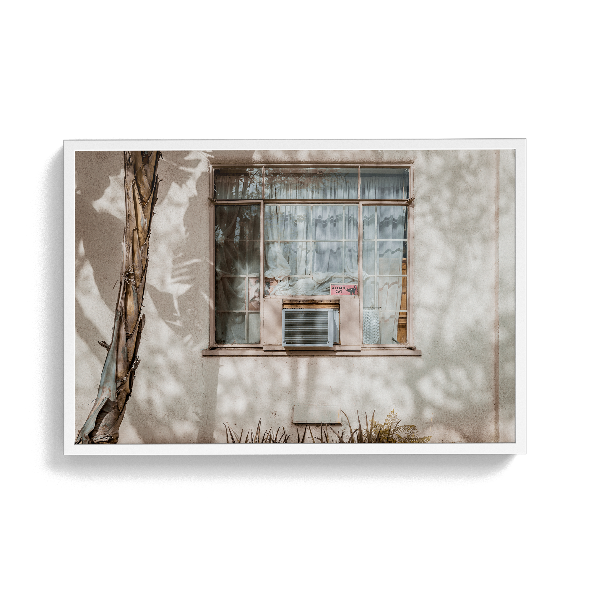 Hang in There (Isolation) photographic print