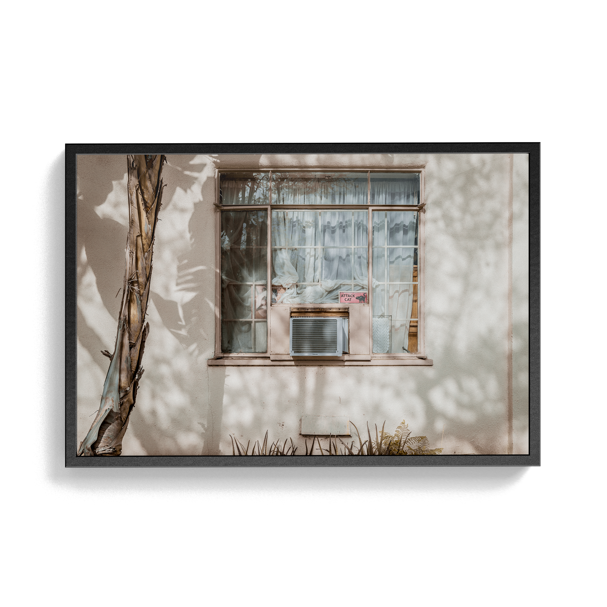 Hang in There (Isolation) photographic print