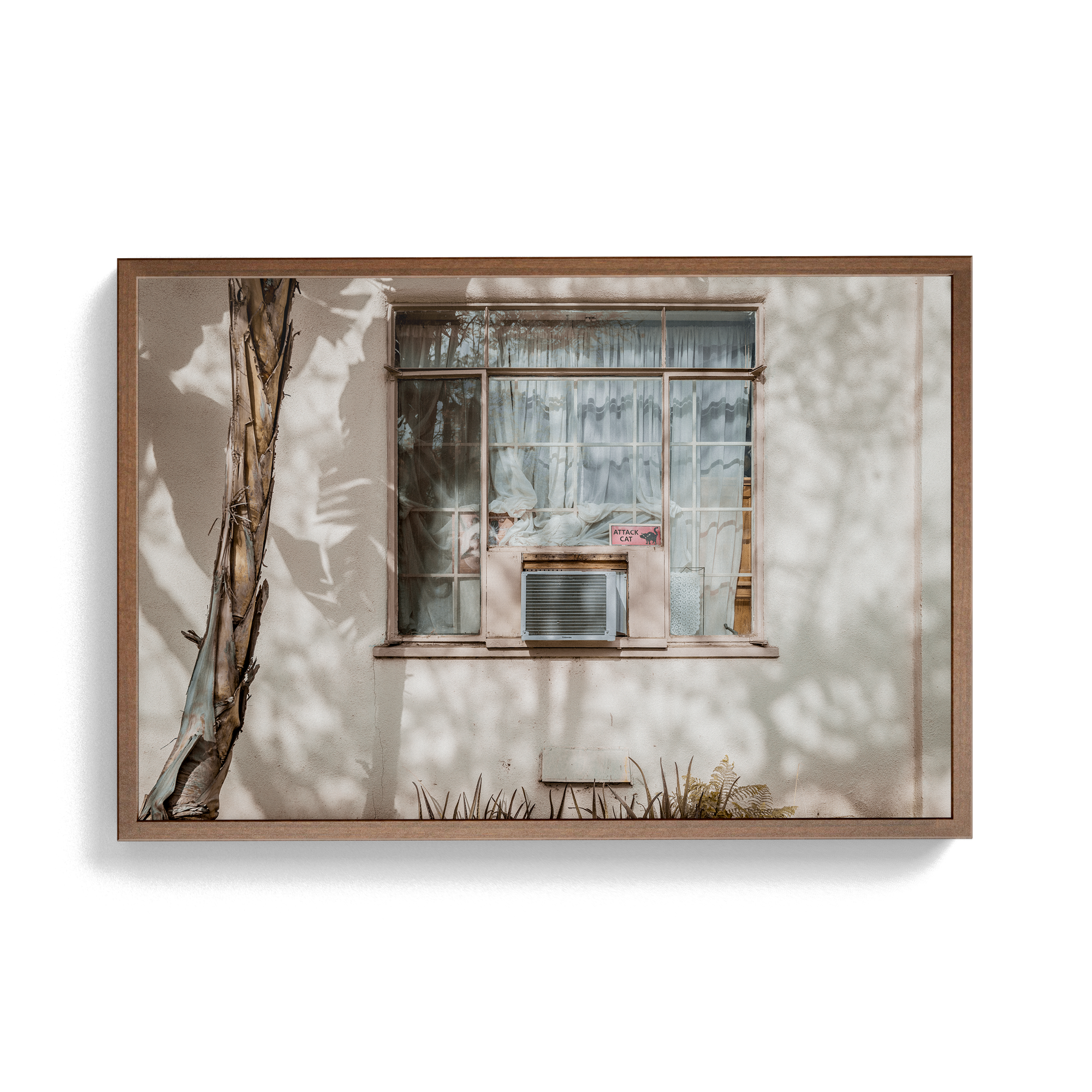 Hang in There (Isolation) photographic print