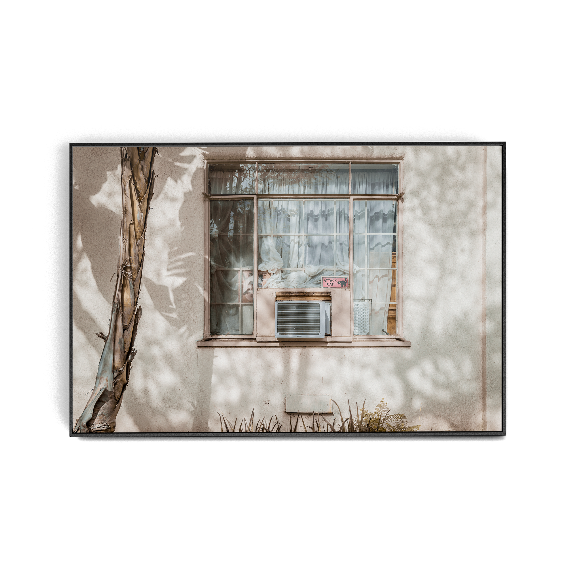 Hang in There (Isolation) photographic print