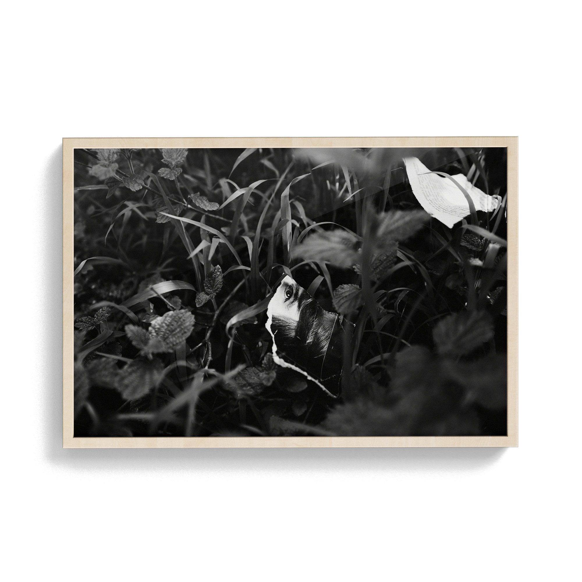 Lashings (Isolation) photographic print