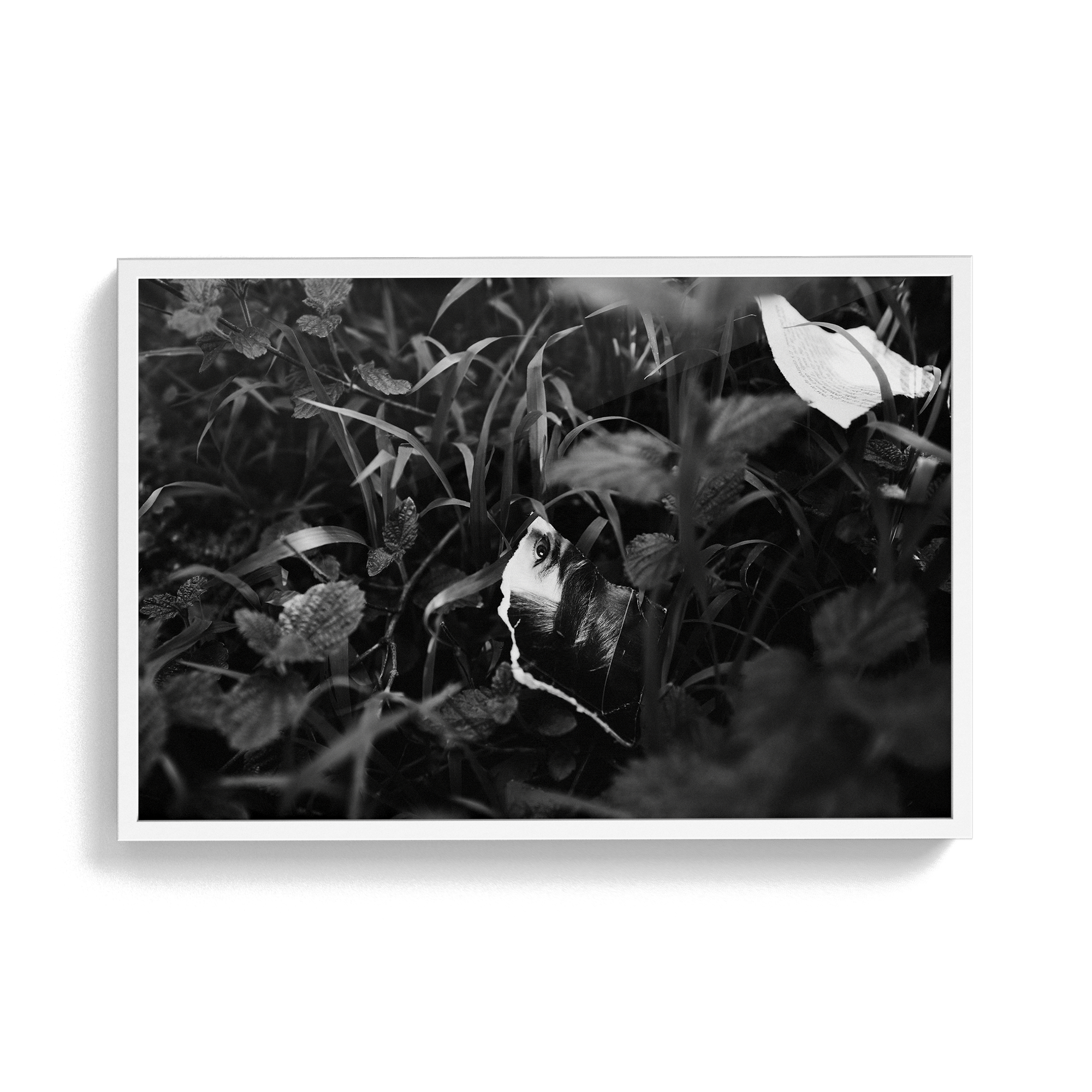 Lashings (Isolation) photographic print