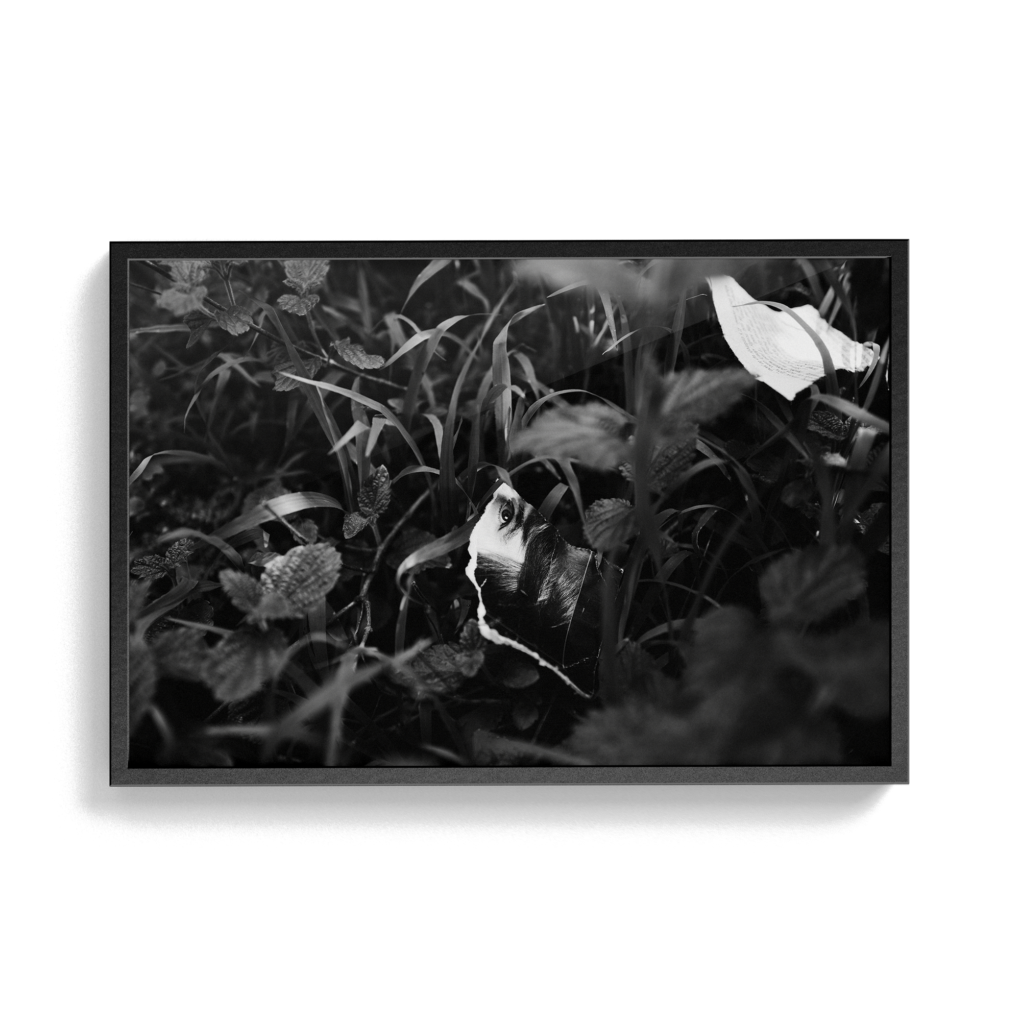 Lashings (Isolation) photographic print