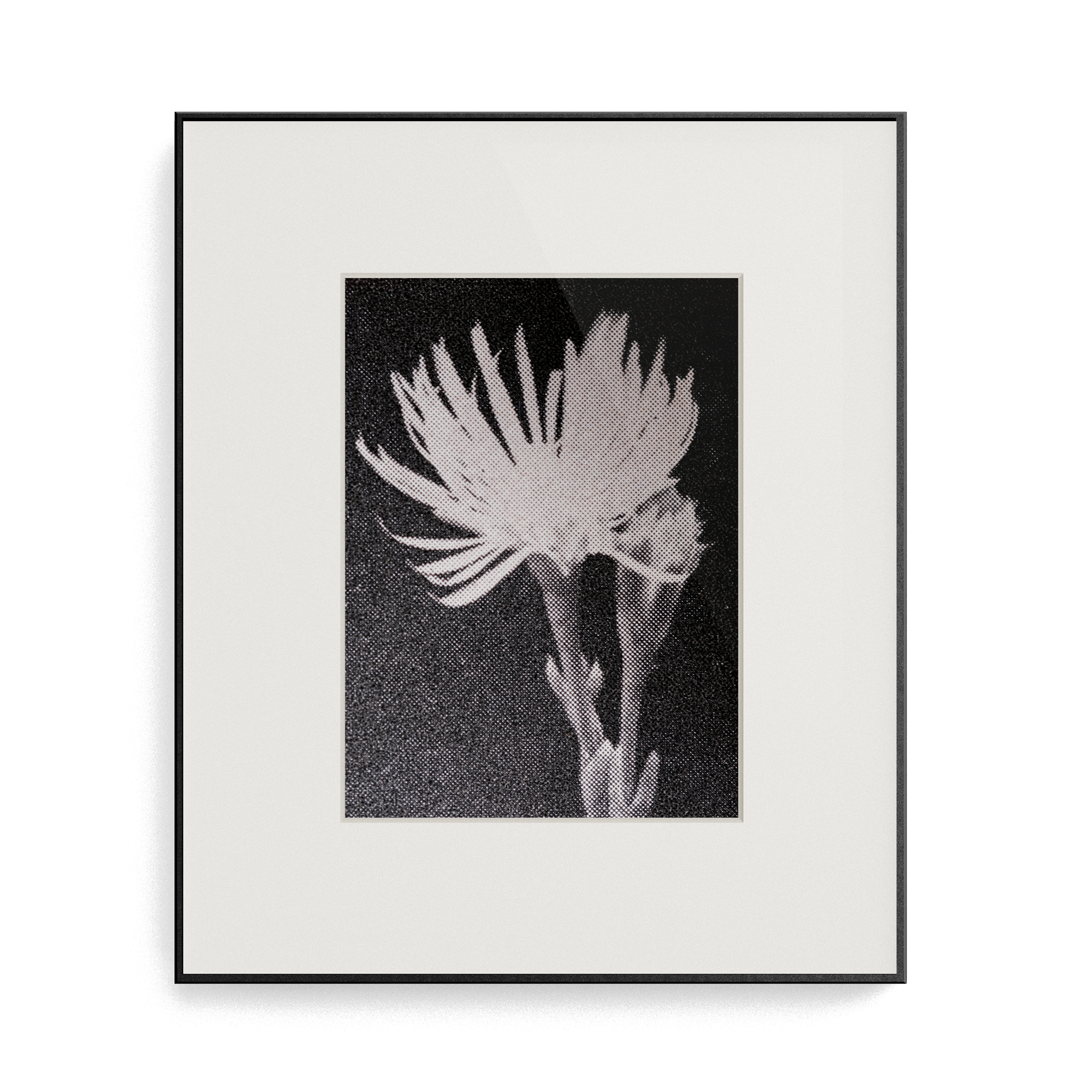 Suite Exotica Osmium (No. 1) photo print