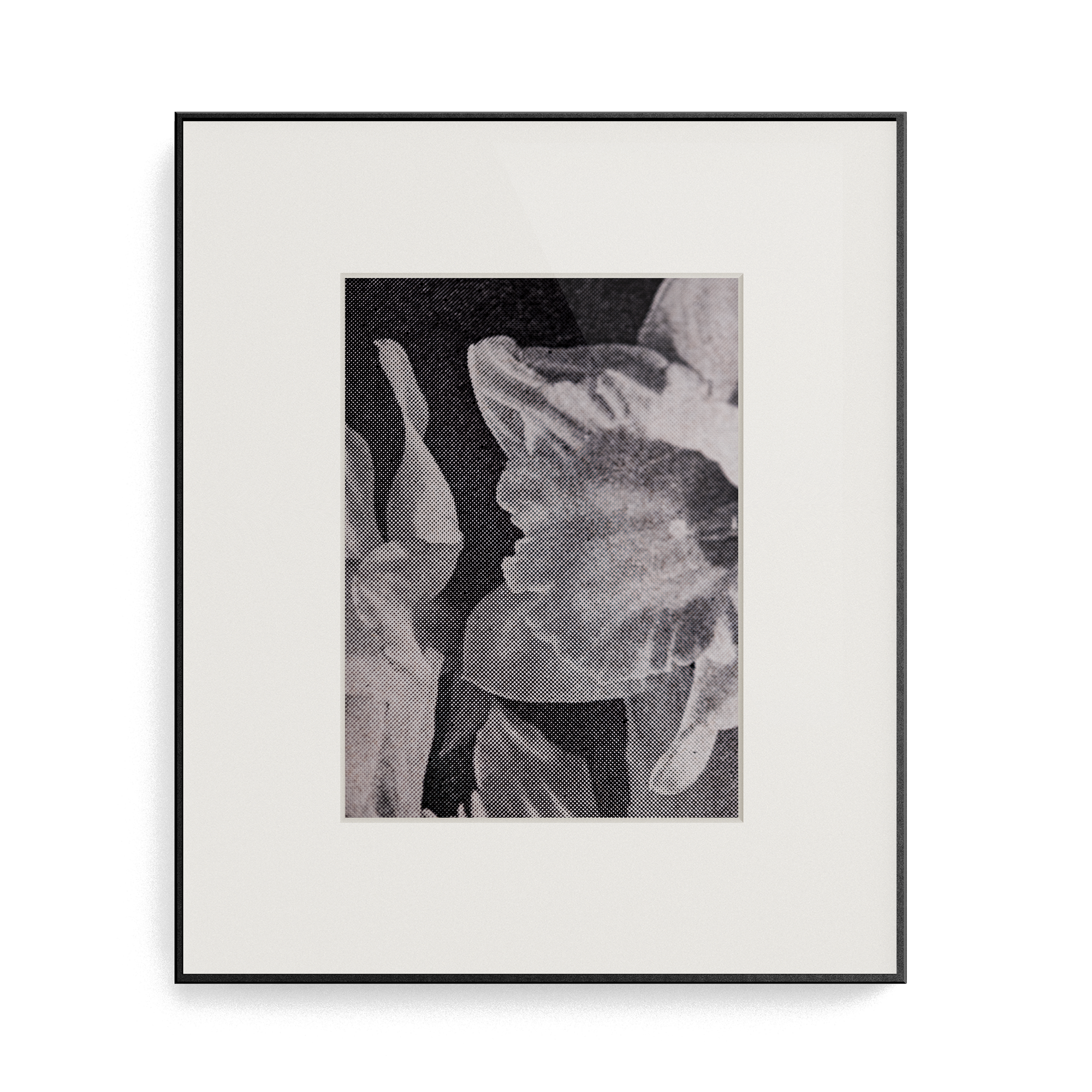 Suite Exotica Osmium (No. 3) photo print