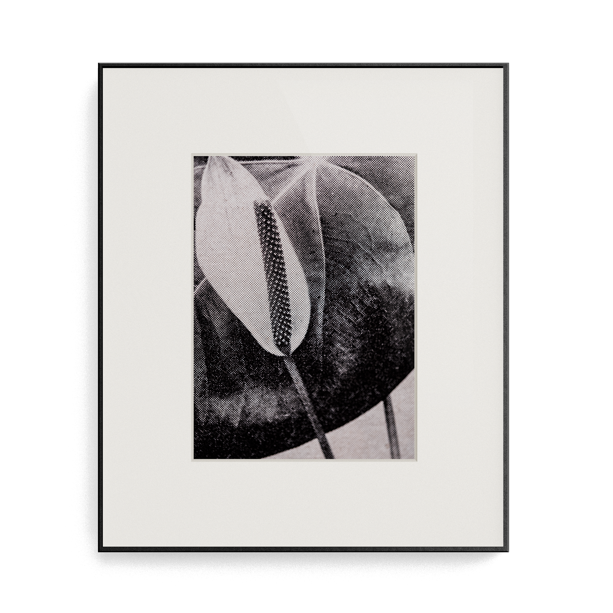 Suite Exotica Osmium (No. 4) photo print