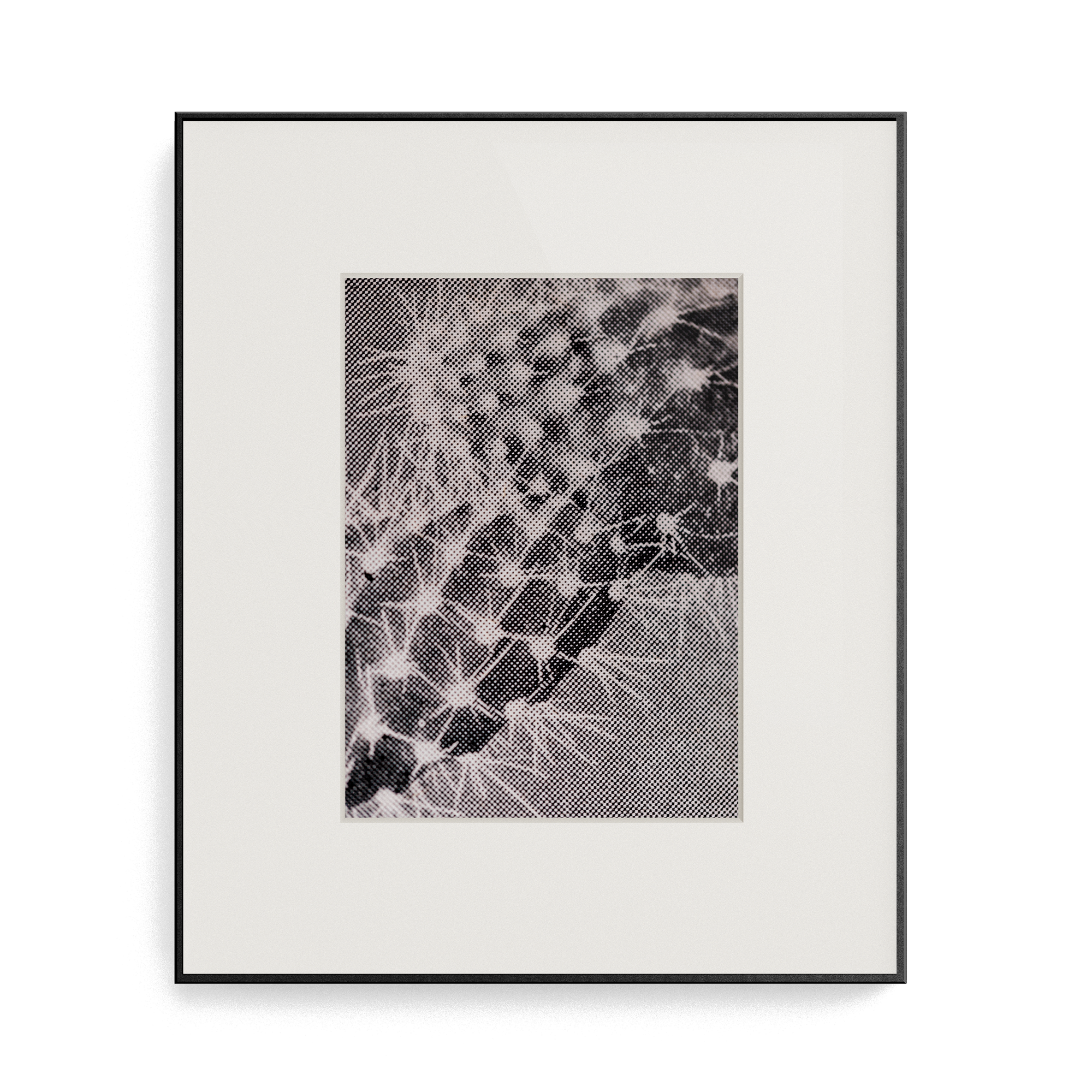 Suite Exotica Osmium (No. 5) photo print