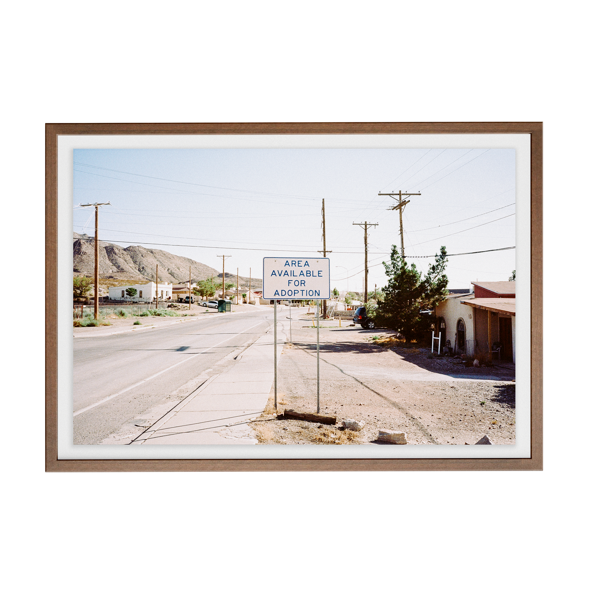 South/West Diary (Adoption) photographic print
