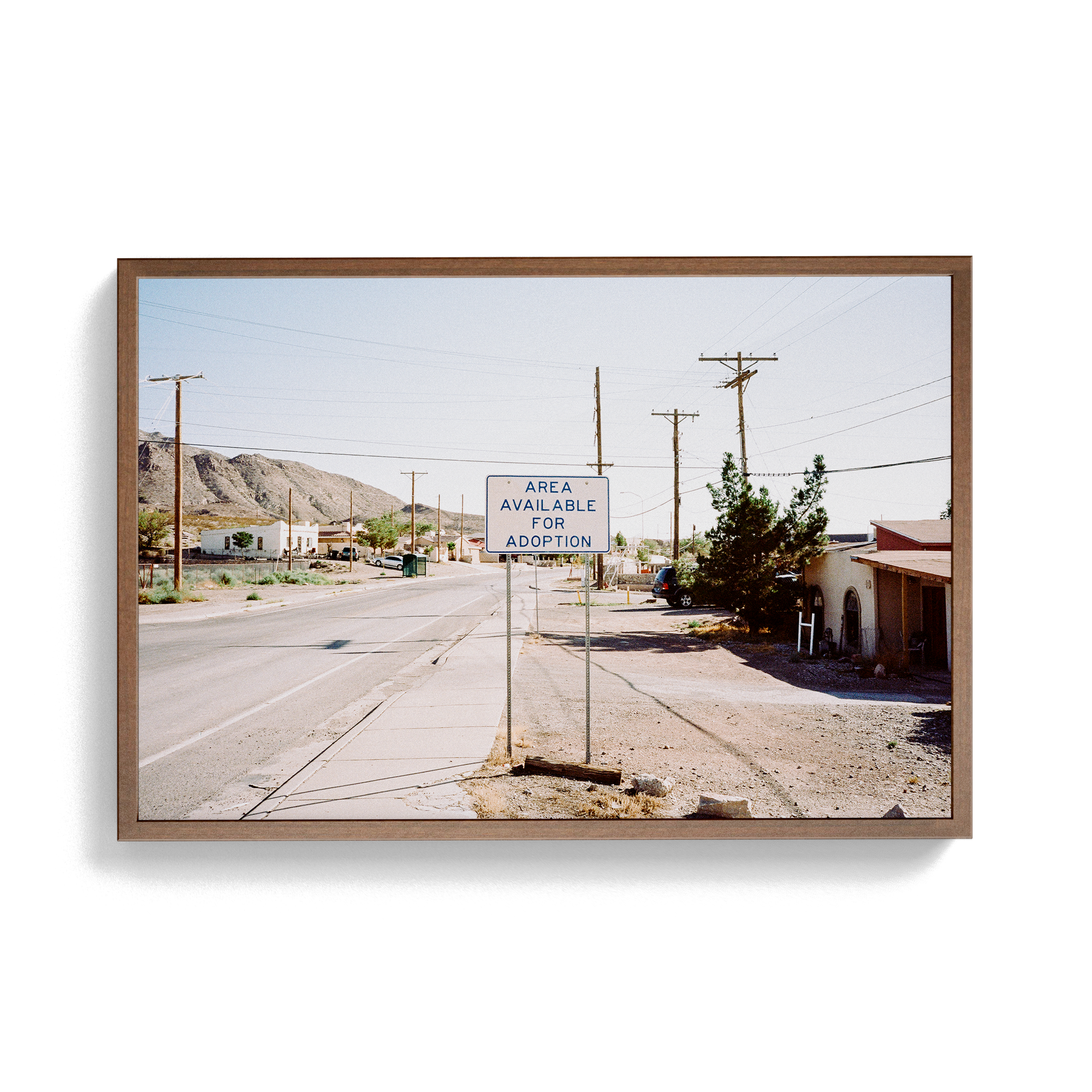 South/West Diary (Adoption) photographic print